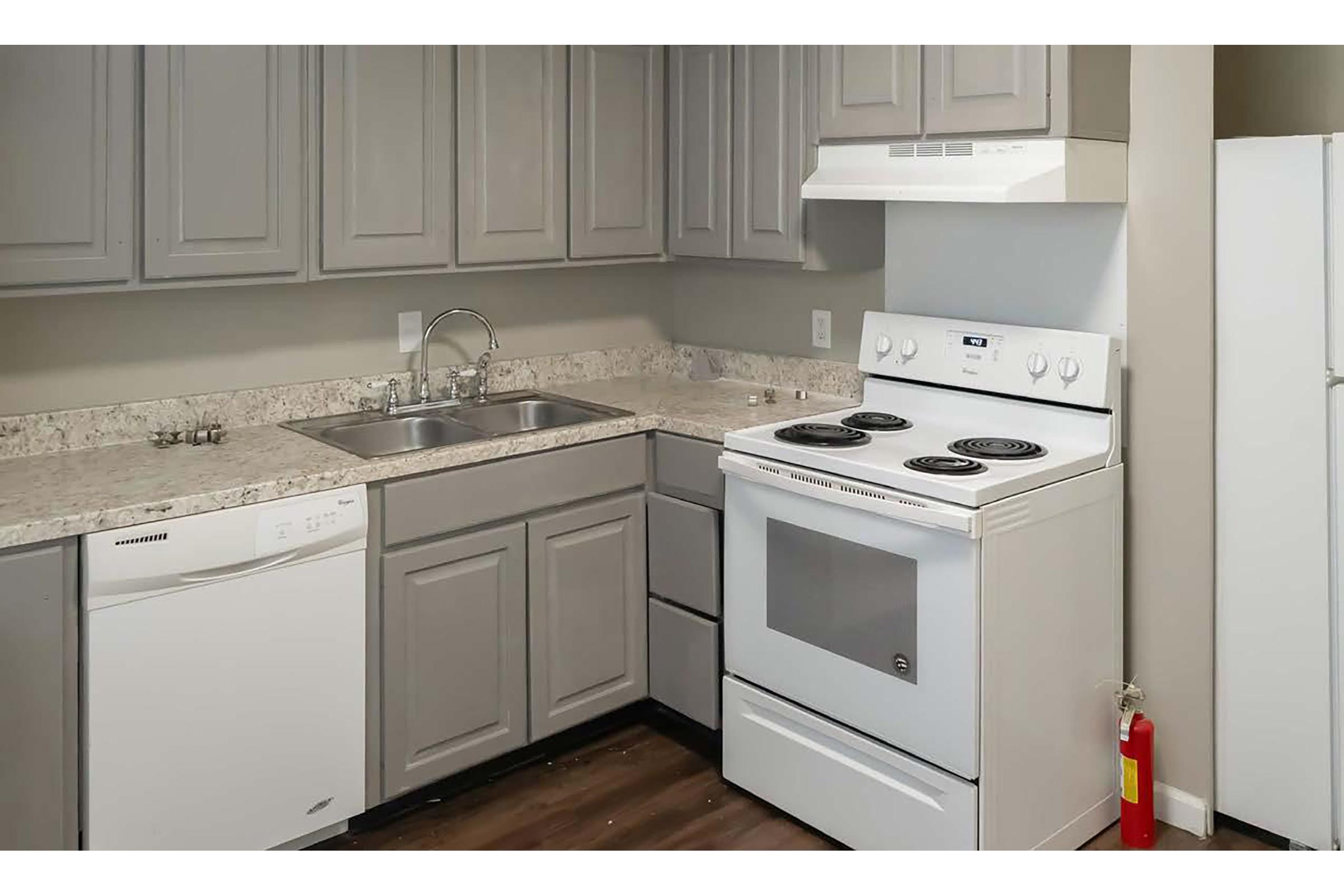 A modern kitchen featuring gray cabinets, a granite countertop, a double sink, an electric stove with oven, a white dishwasher, and a refrigerator. The flooring is wood-like, and a fire extinguisher is visible on the right side. The overall design is clean and functional, ideal for a contemporary space.