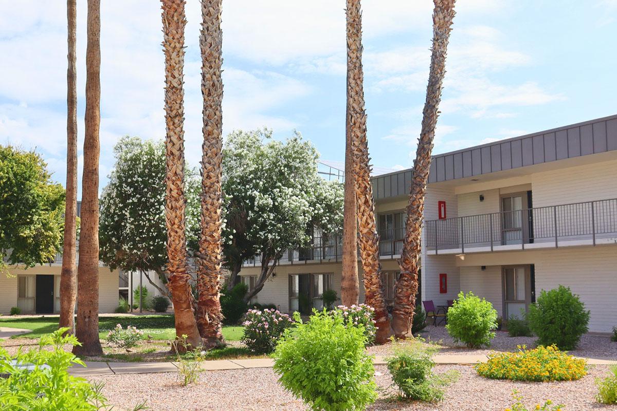 A landscaped courtyard featuring tall palm trees, bright greenery, and flowering plants, with two-story white buildings in the background. The scene is set under a partly cloudy sky, creating a serene and inviting atmosphere.