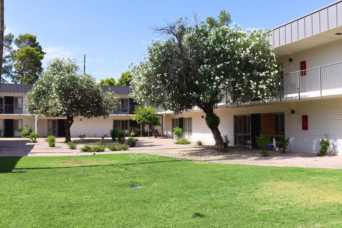 A clear view of a courtyard in a motel or apartment complex. The area features well-maintained green grass, decorative bushes, and two large, flowering trees. In the background, there are several units with balconies, and a blue sky is visible above.