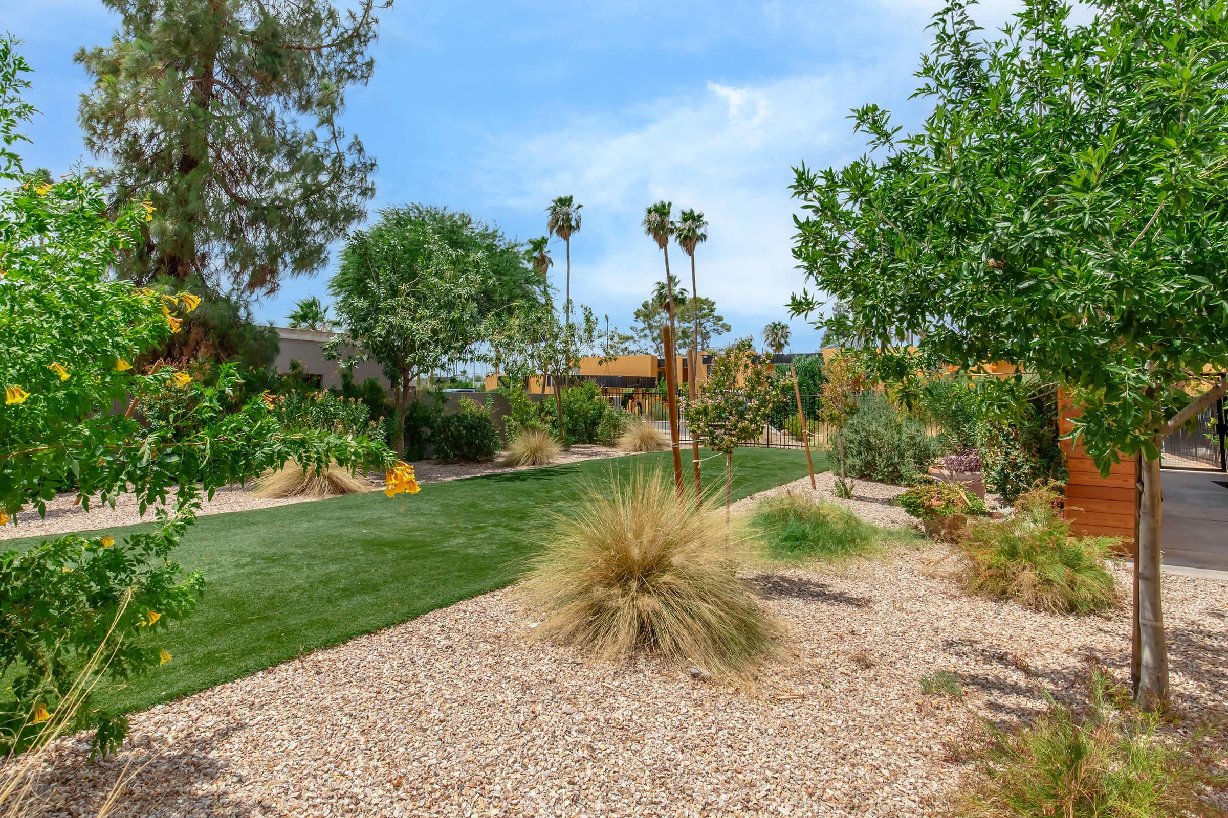 A landscaped garden featuring green grass, various trees, and shrubs. Peeking amidst the foliage are palm trees, and the area is bordered by gravel paths. The scene is bright and sunny, showcasing a blend of greenery and natural beauty, ideal for outdoor relaxation.