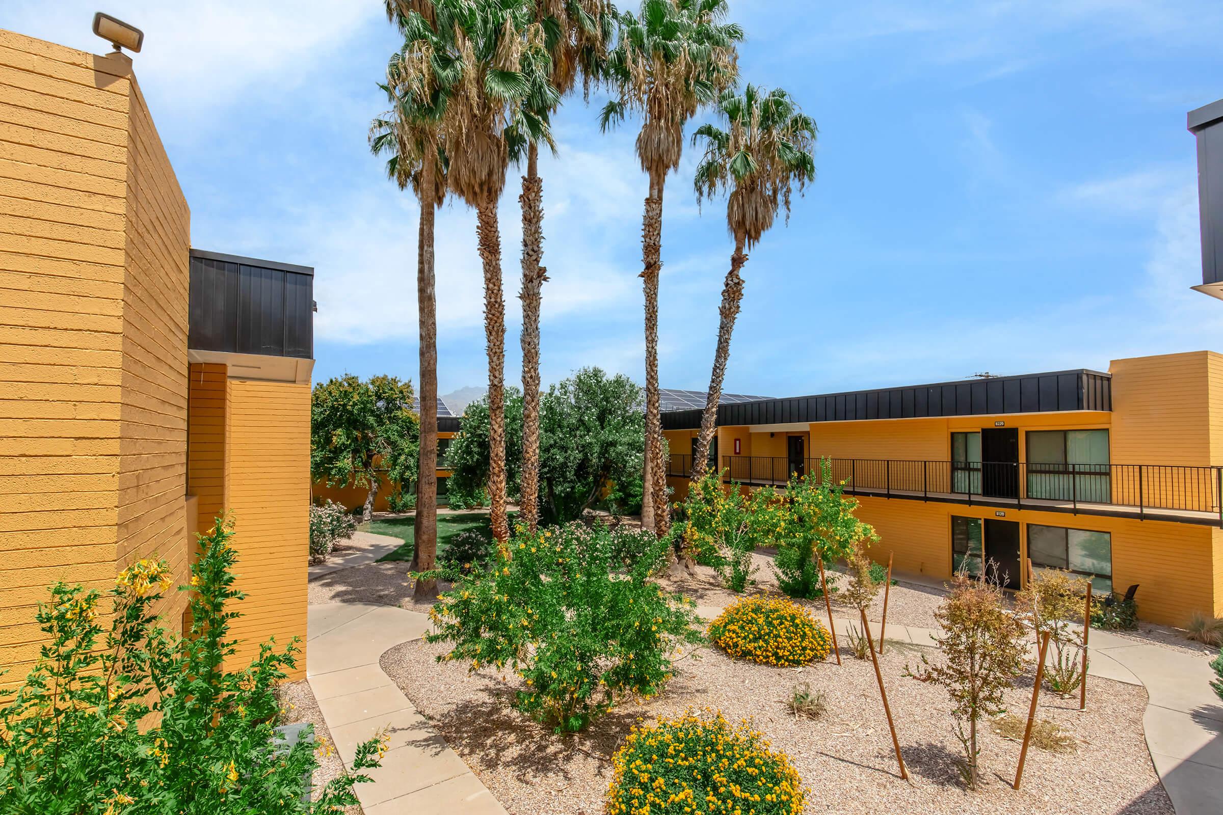 A courtyard view of a residential complex featuring palm trees, lush green plants, and blooming yellow flowers. The buildings are painted in warm yellow tones, with a clear blue sky above, creating a bright and inviting atmosphere. Pathways connect the areas of landscaped gardens.
