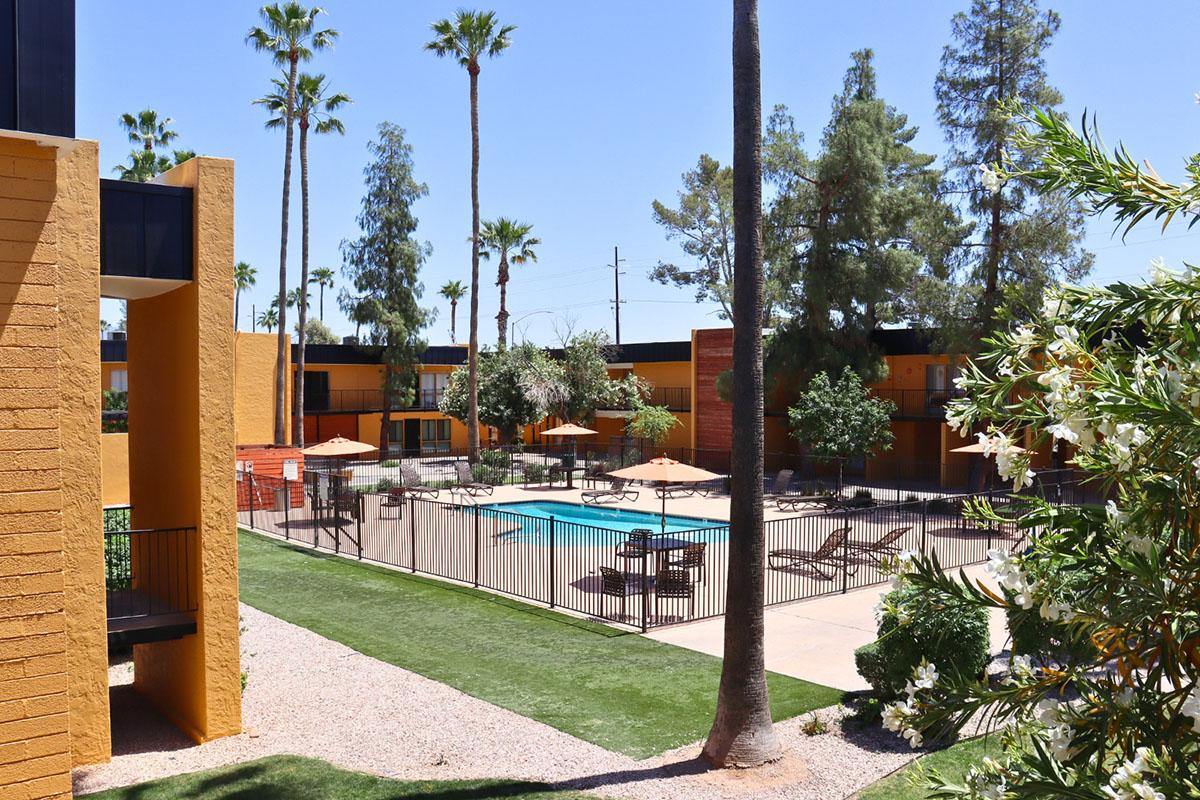 A sunny outdoor area featuring a swimming pool surrounded by lounge chairs and umbrellas, with palm trees and greenery in the background. The scene is framed by colorful buildings, showcasing a bright and inviting atmosphere.