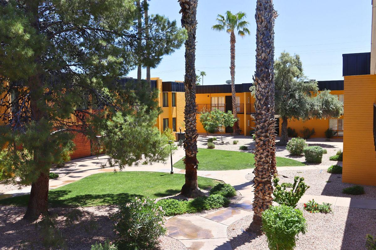 A view of a sunny courtyard featuring lush greenery, palm trees, and well-maintained landscaping. Surrounding buildings with a bright yellow exterior and multiple windows are visible, creating a vibrant and inviting atmosphere. The scene reflects a warm, tranquil environment typical of an apartment complex.