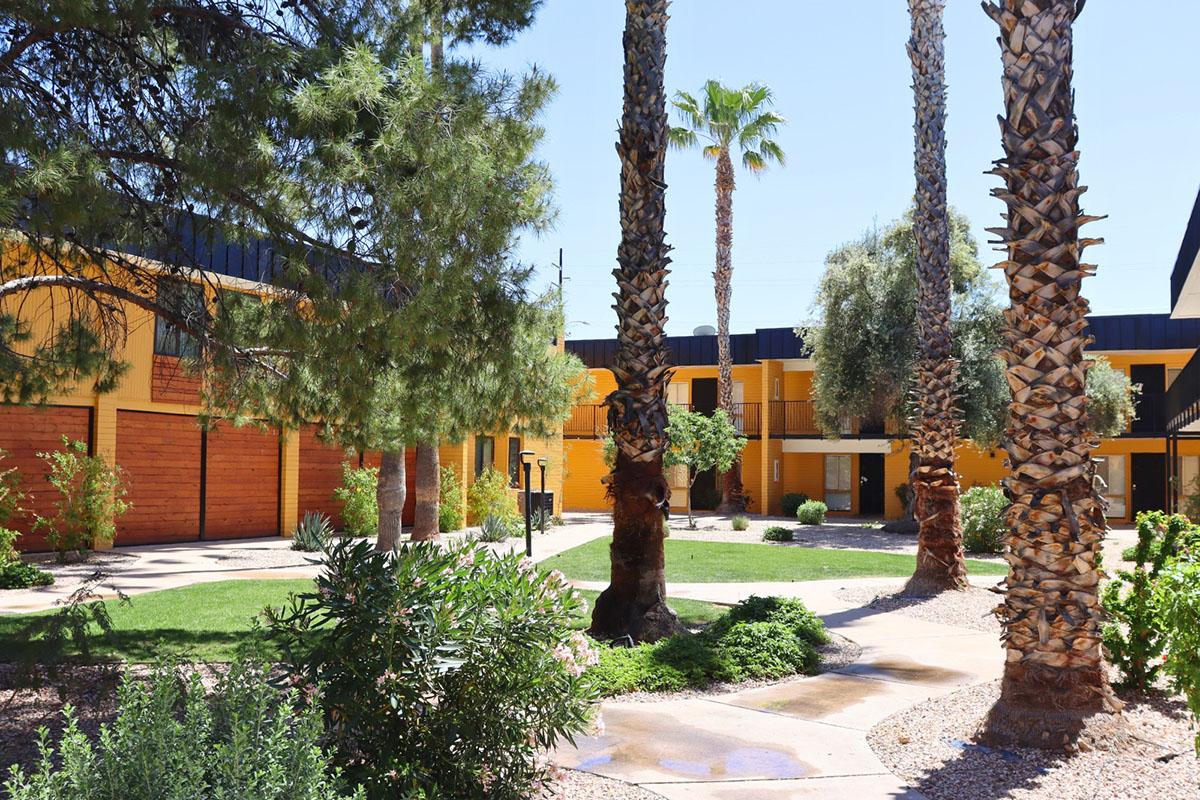 A sunny courtyard of a modern hotel, featuring palm trees and lush greenery. The yellow buildings are arranged around a pathway, creating a welcoming atmosphere. The scene is bright, with clear blue skies and well-maintained landscaping, inviting guests to relax outdoors.