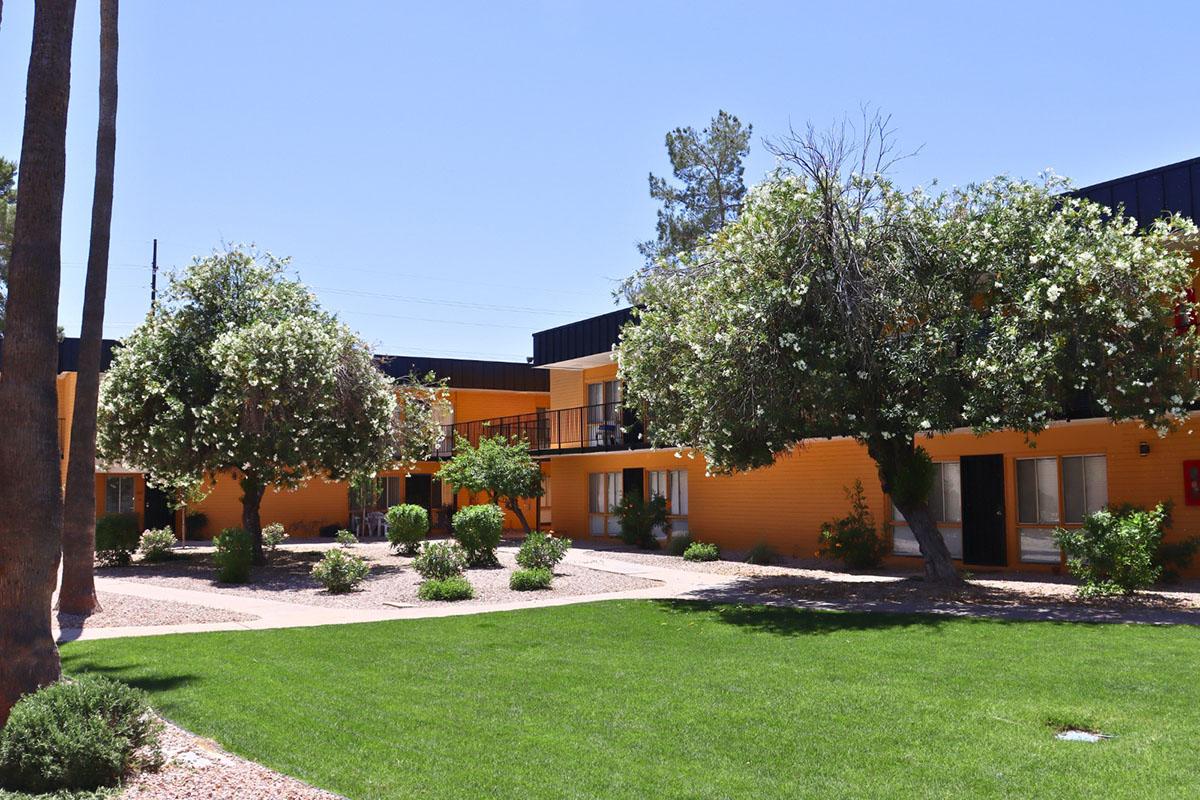 A view of a sunny courtyard with green grass, surrounded by orange-painted apartment buildings. Lush trees with white flowers are scattered throughout, creating a serene and inviting atmosphere. The clear blue sky indicates a warm day.