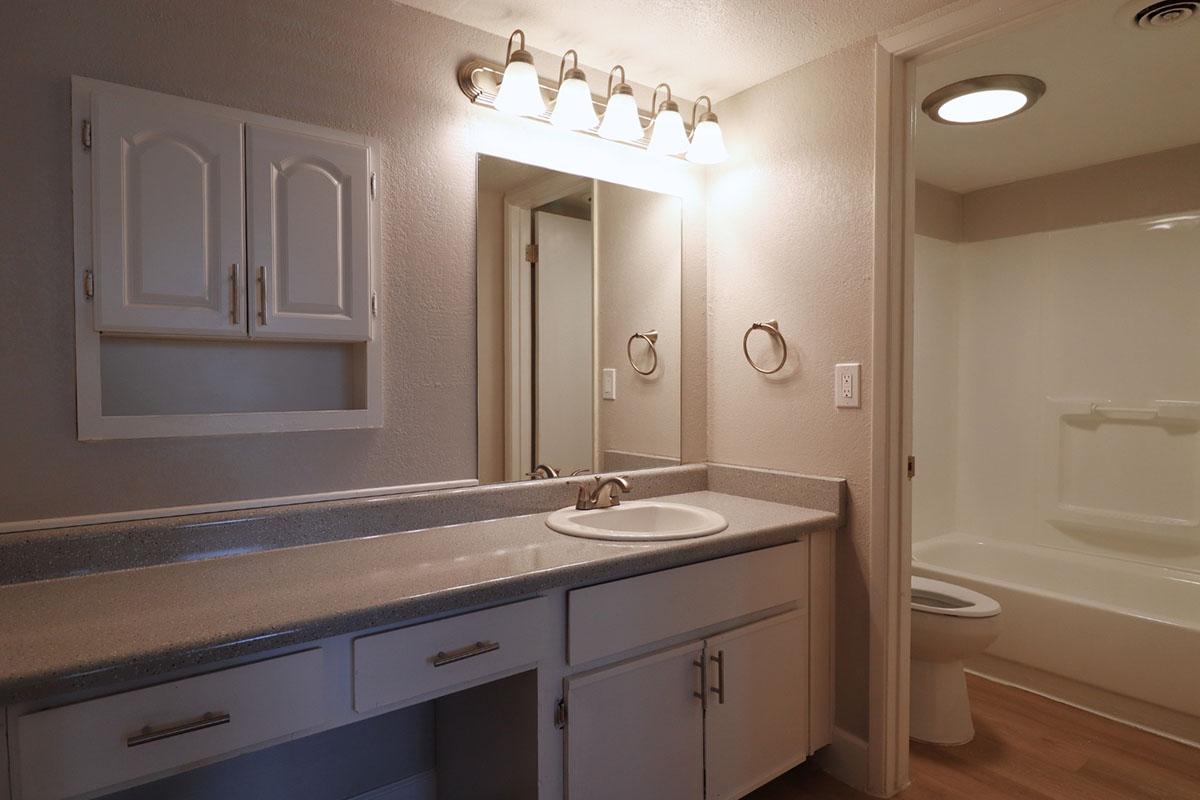 A modern bathroom featuring a countertop with a sink, storage cabinets, a large mirror, and bright lighting. The walls are a light color, and there's a shower area with a bathtub in the background. The floor is wooden, and there are towel racks on the wall.
