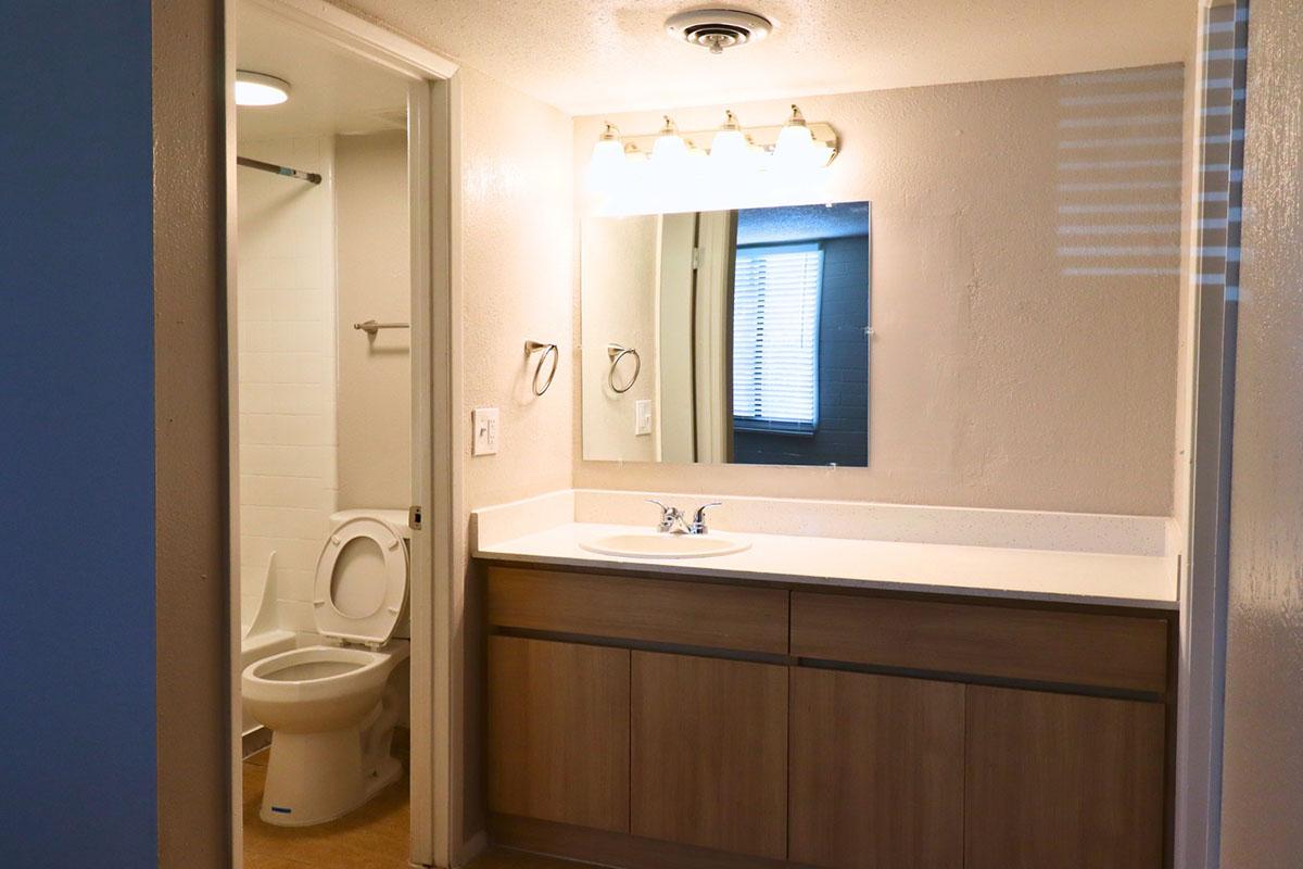 A clean, modern bathroom featuring a white vanity with a sink, a large mirror and overhead lighting. To the left, a door leads to a separate toilet area with a white toilet. The walls are painted in neutral tones, and there are windows providing natural light, enhancing the spacious feel of the room.
