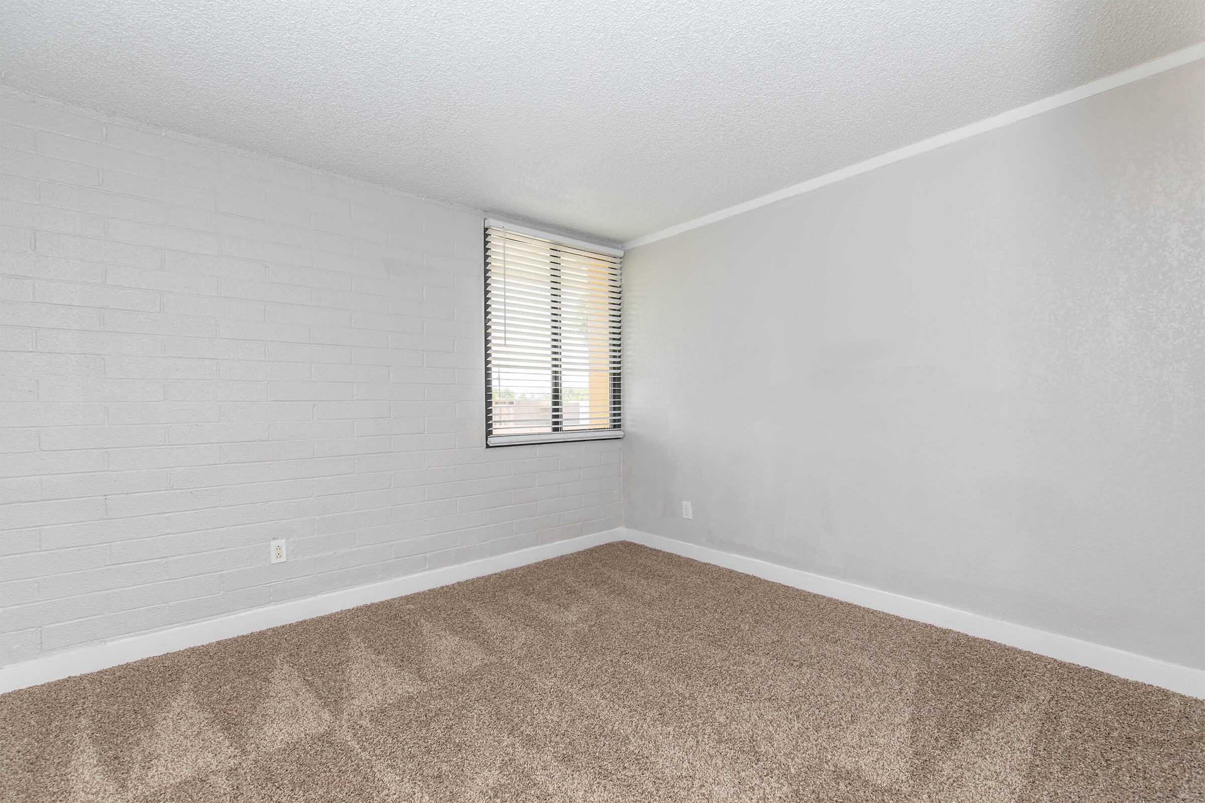 A vacant room featuring light gray walls, a window with blinds, and beige carpet flooring. The space is well-lit and has a minimalistic design, making it suitable for various uses.