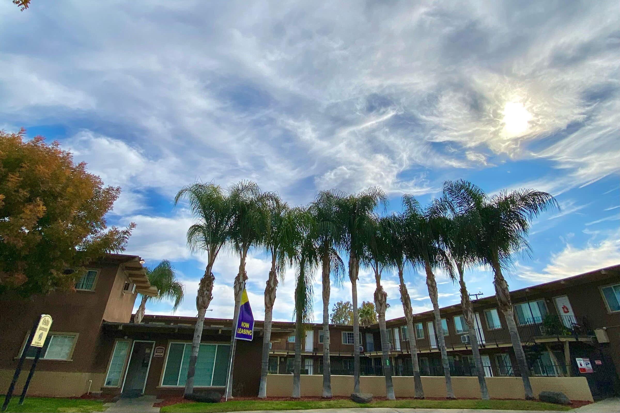 a tree in front of a building