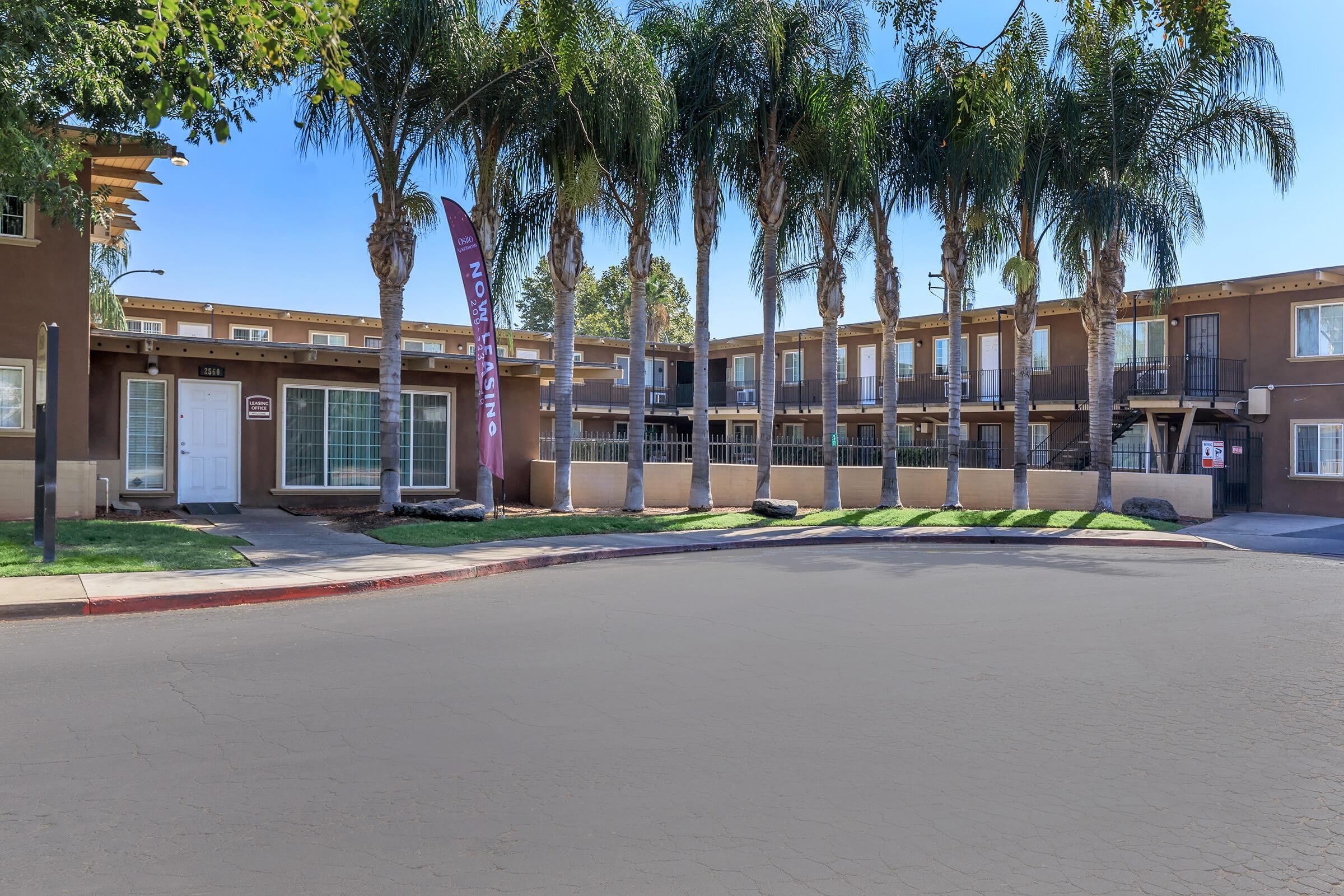 a palm tree in front of a building