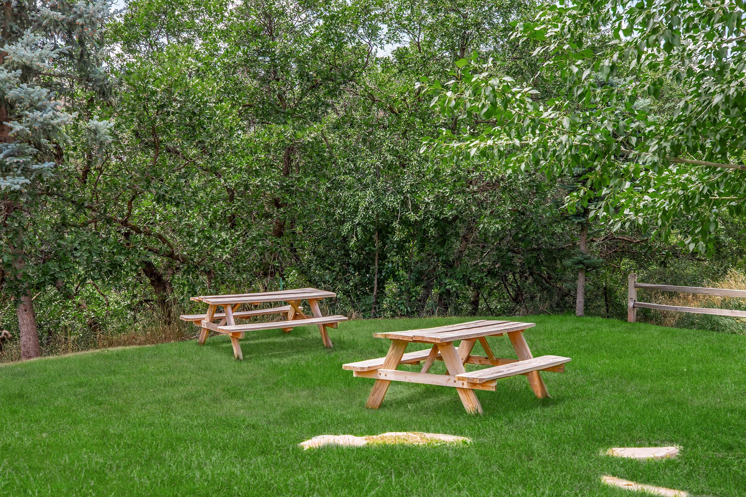 Two wooden picnic tables situated on a grassy area surrounded by lush green trees. The scene has a serene, natural feel, with a wooden fence in the background, creating a peaceful outdoor setting ideal for gatherings or relaxation.