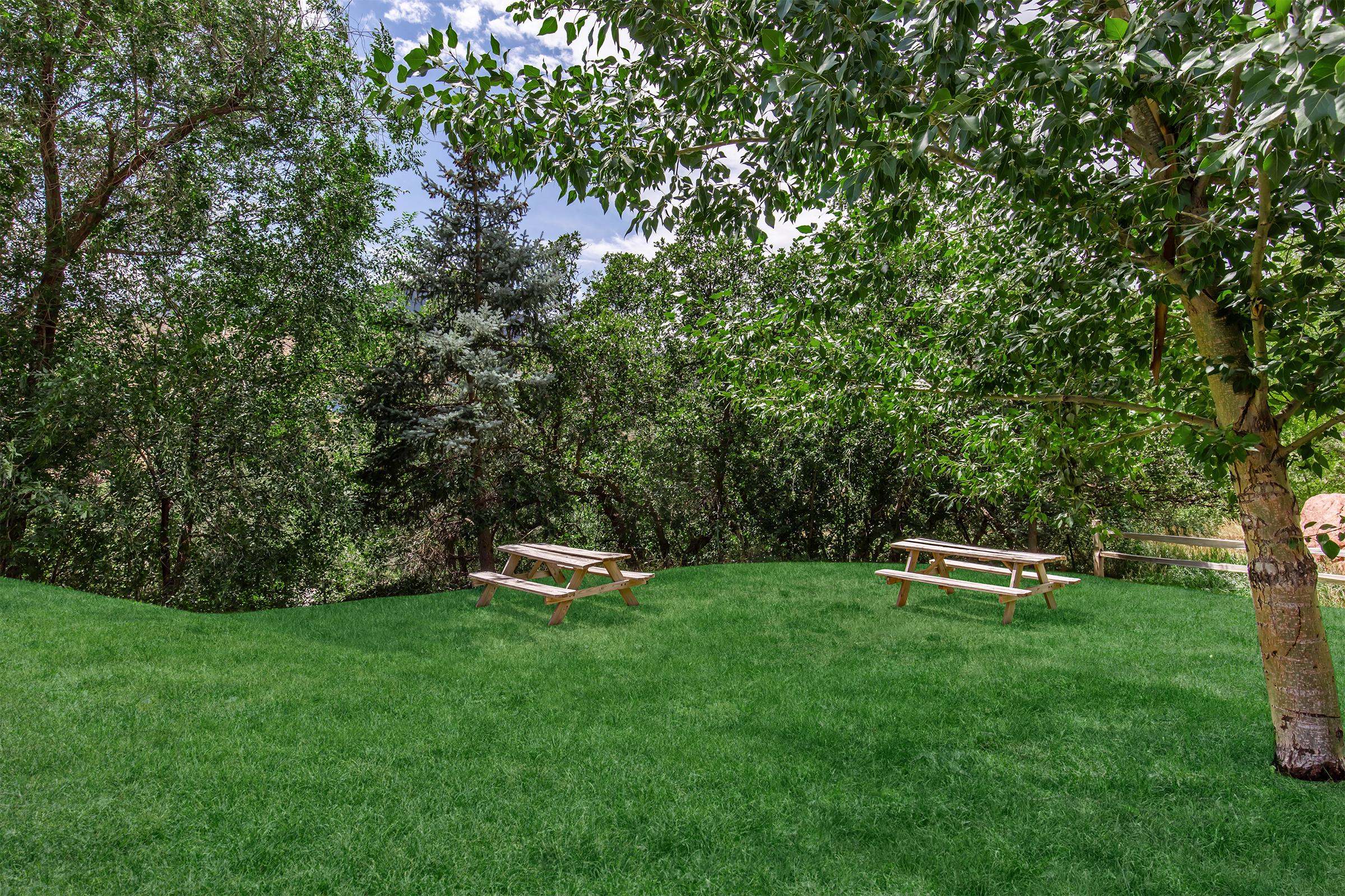 A green grassy area with picnic tables surrounded by lush trees under a clear blue sky. The scene conveys a peaceful outdoor setting, ideal for relaxation or gatherings.