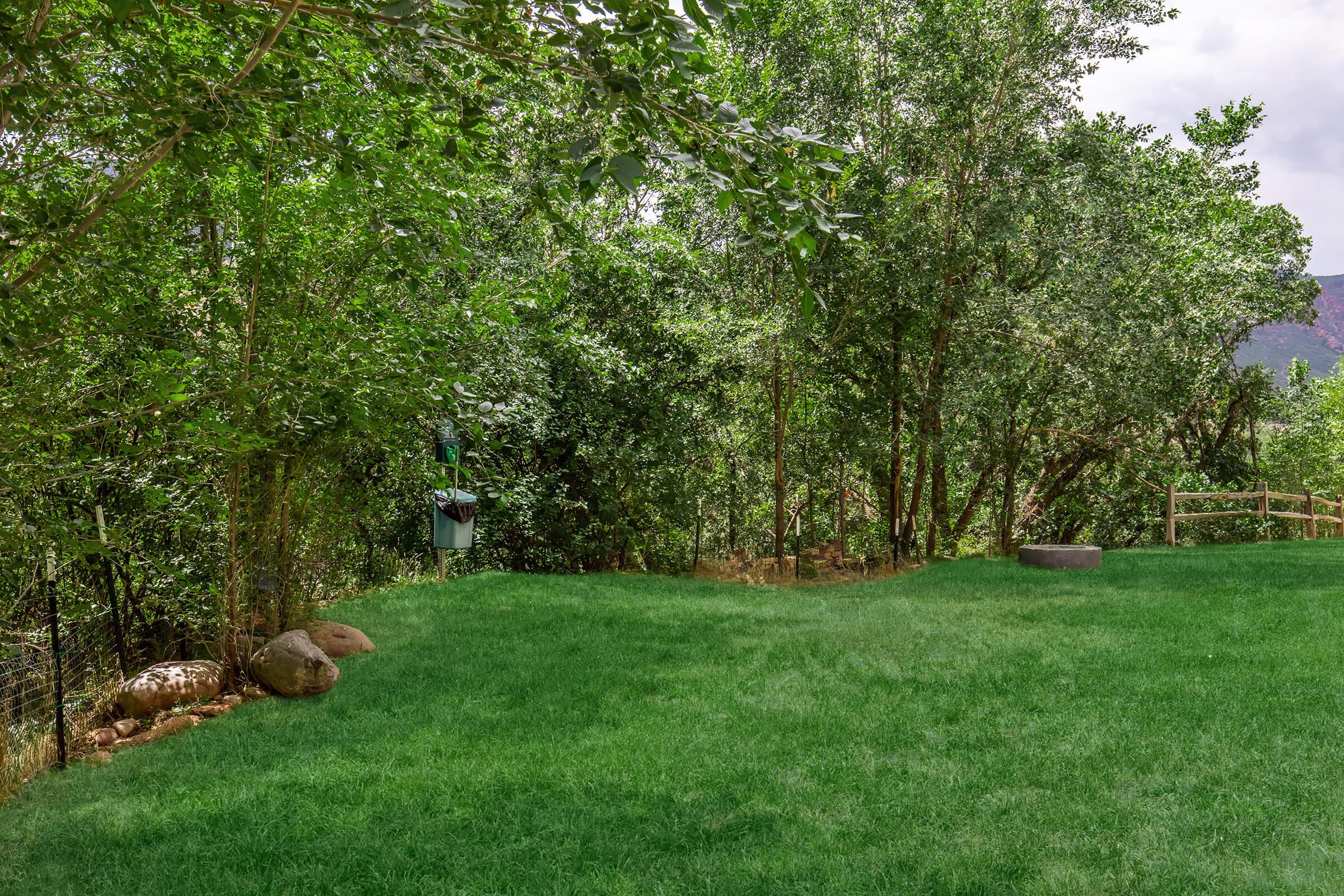 Lush green lawn surrounded by trees and shrubs, with a small bench and a sturdy fence in the background. The scene is serene and natural, showcasing a tranquil outdoor space.