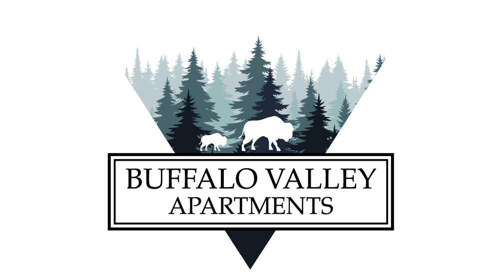 Buffalo Valley ebrochure logo