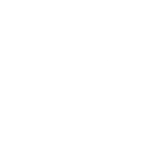 The Conerly Group logo