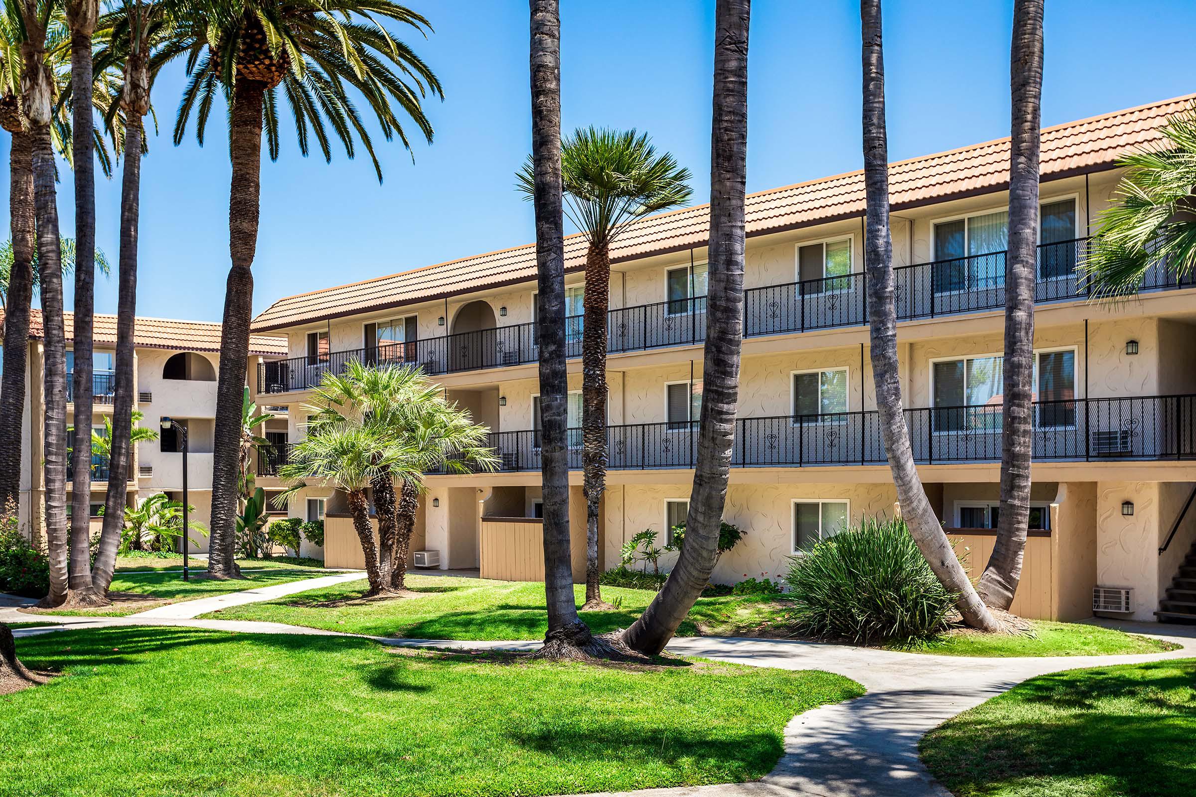 a palm tree in front of a building