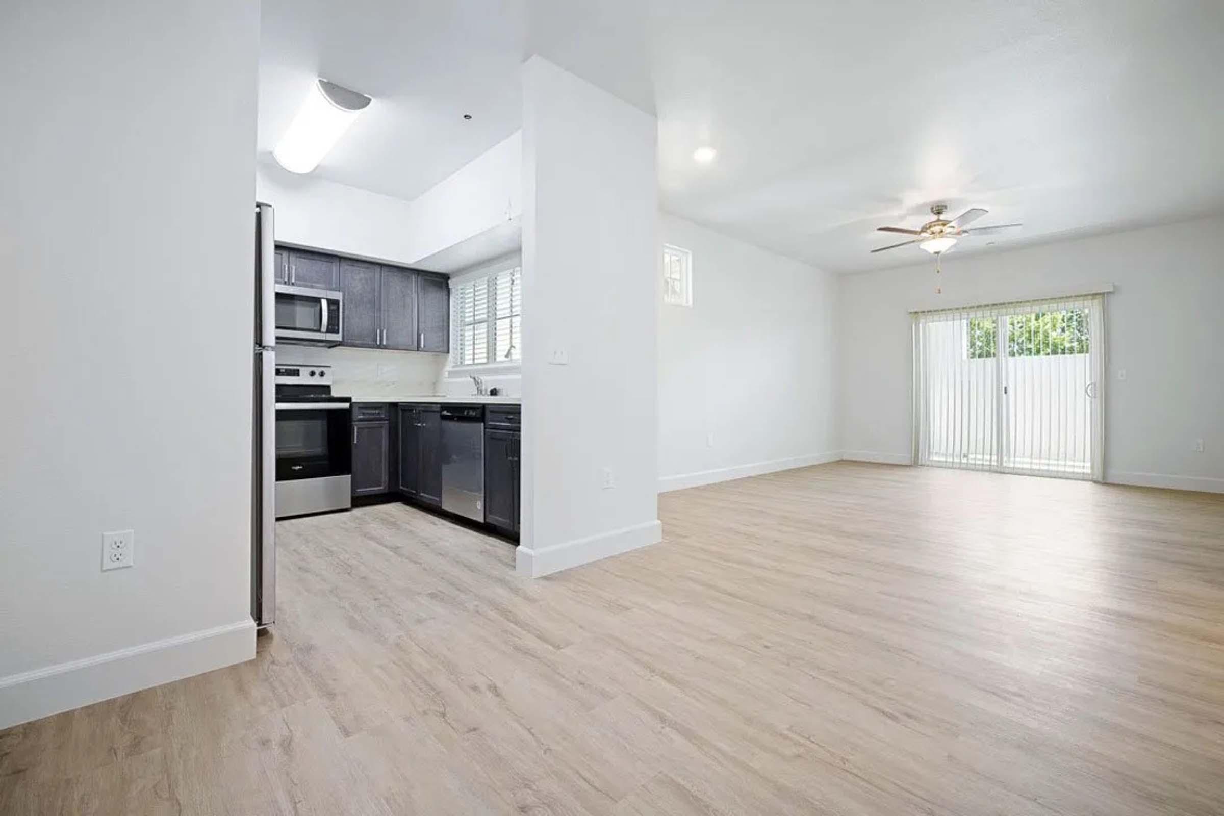 Spacious, modern kitchen with stainless steel appliances and dark cabinetry, adjacent to an open living area featuring light-colored flooring and ample natural light from sliding glass doors leading to an outdoor space. Ceiling fan visible in the living area enhances airflow.