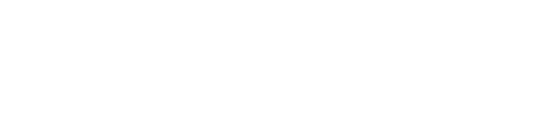 Ivy Point Klein ebrochure logo