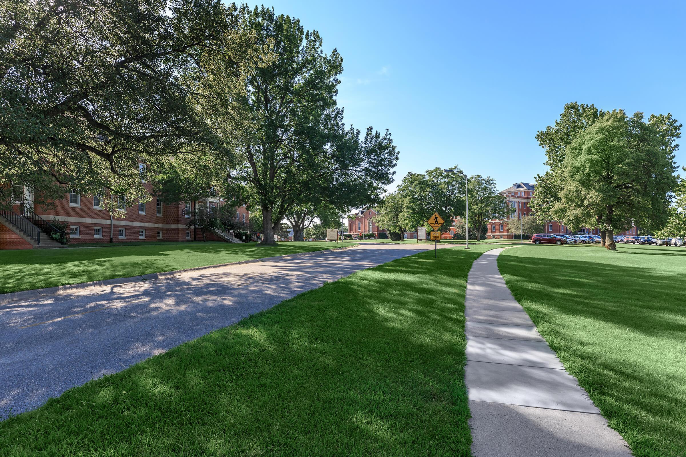 A scenic view of a tree-lined pathway and grassy area on a campus. The image features a sidewalk leading along a road with buildings visible in the background under a clear blue sky, creating a peaceful and inviting atmosphere.