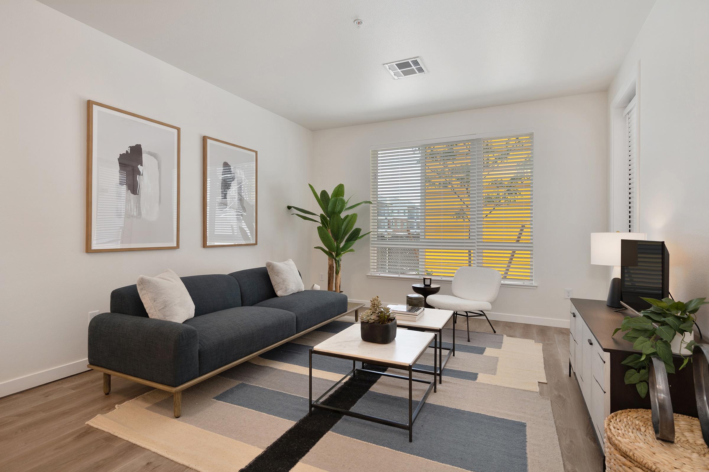 A modern living room featuring a dark gray sofa with white pillows, two framed abstract art pieces on the wall, a light area rug, a small coffee table with a plant, an armchair, and a window with blinds overlooking outdoor greenery.
