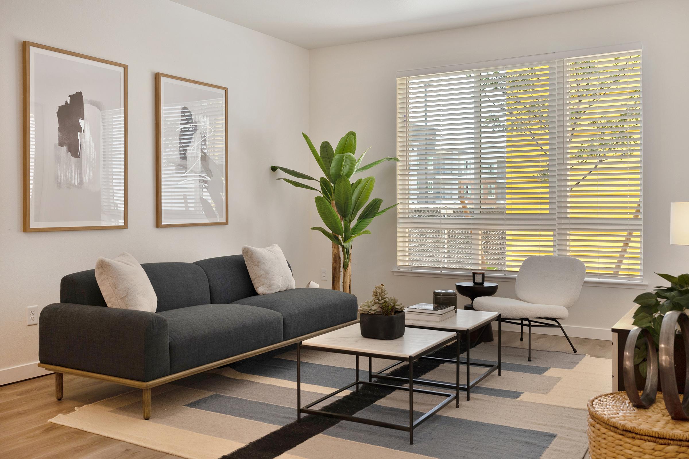 A cozy living room featuring a dark gray sofa with two accent pillows, a modern coffee table, and a light gray armchair. There are two framed artworks on the wall and a large window with blinds allowing natural light. A potted plant adds a touch of greenery to the space, enhancing the inviting atmosphere.