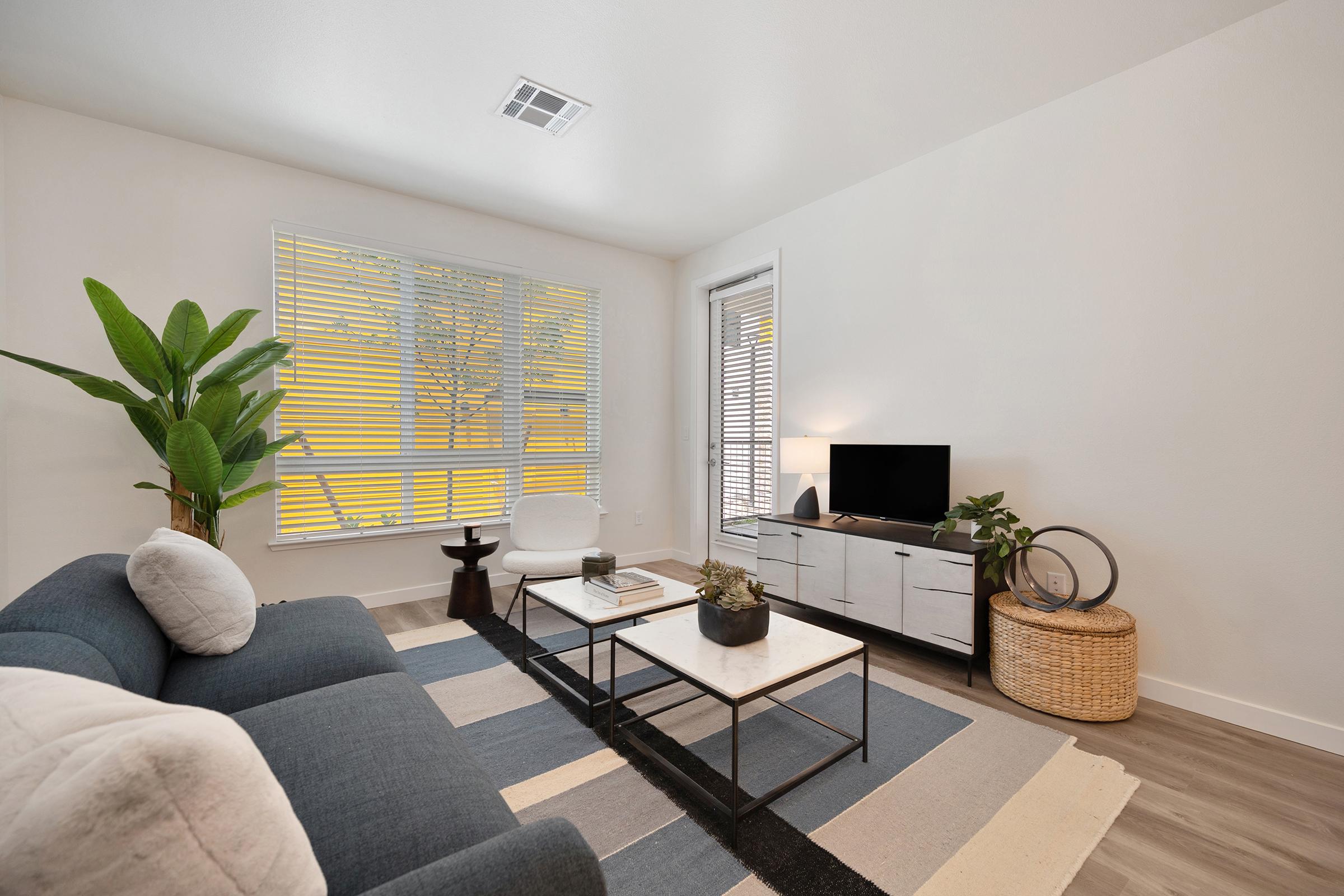 A modern living room with a gray sofa, two coffee tables, and a TV on a white cabinet. Large windows with blinds allow natural light. A potted plant adds greenery, and a woven basket provides texture to the space. The floor has light wood tones, and the walls are painted white for a clean, airy feel.
