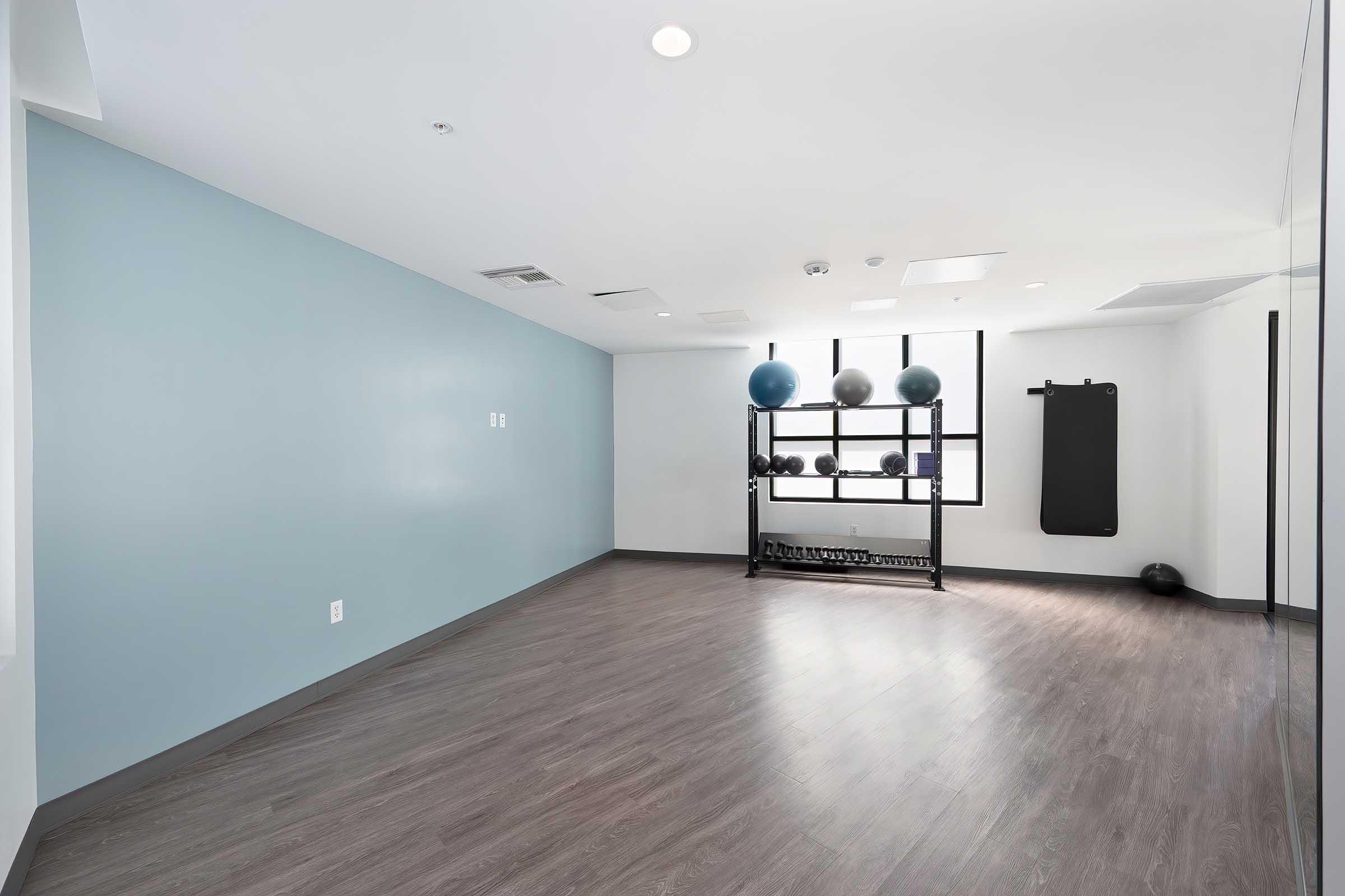 A modern fitness room featuring hardwood flooring, light blue walls, and natural lighting. There is a rack holding several fitness balls, a black exercise mat on the wall, and an empty space for workouts. The room is clean and minimalistic, ideal for individual or group exercise sessions.