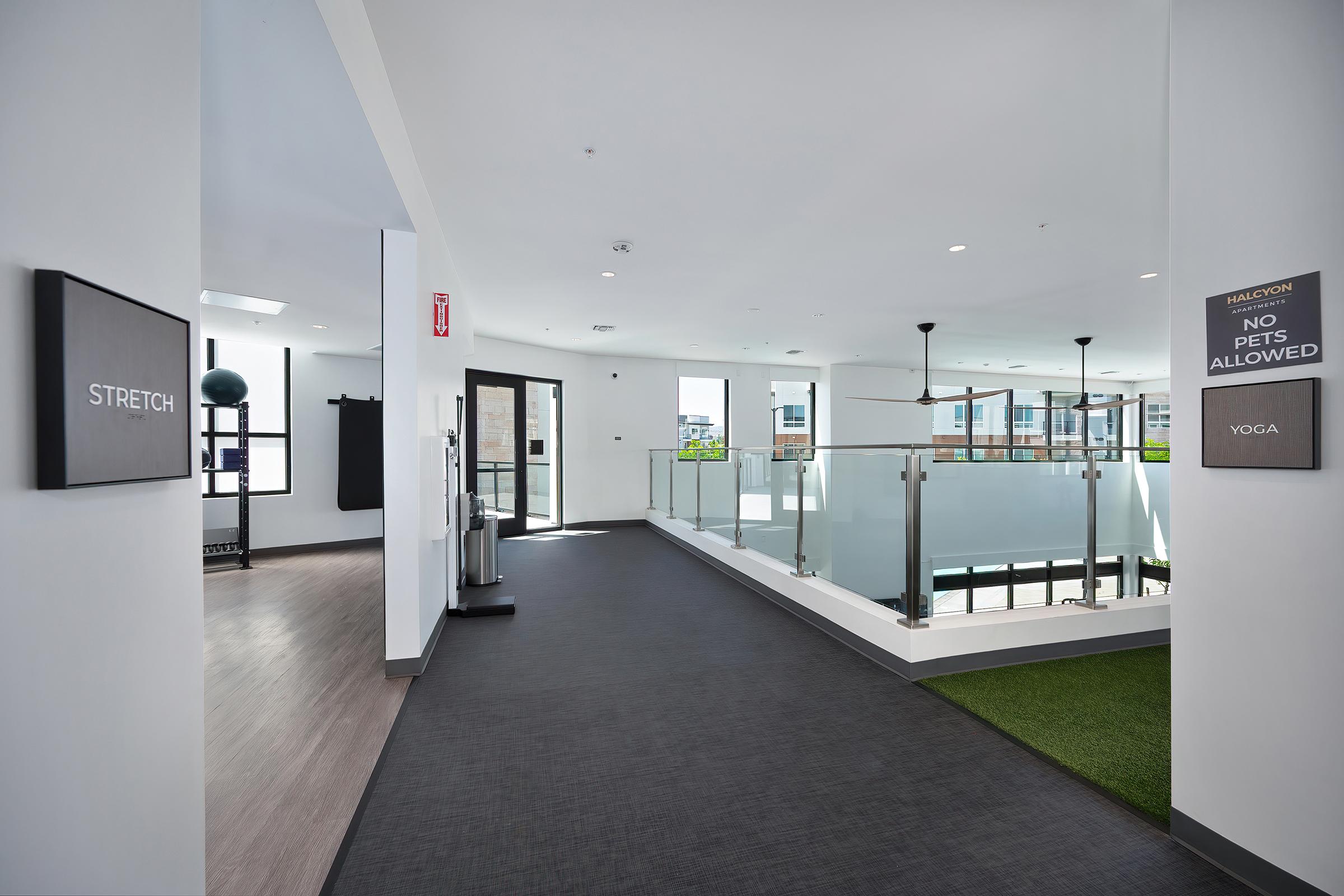A bright, modern hallway in a fitness facility with signs for "Stretch" and "Yoga" on the walls. Natural light streams in through large windows, and there is a green grass area visible. A black wall in the background likely signifies different workout areas, with a "No Pets Allowed" sign.