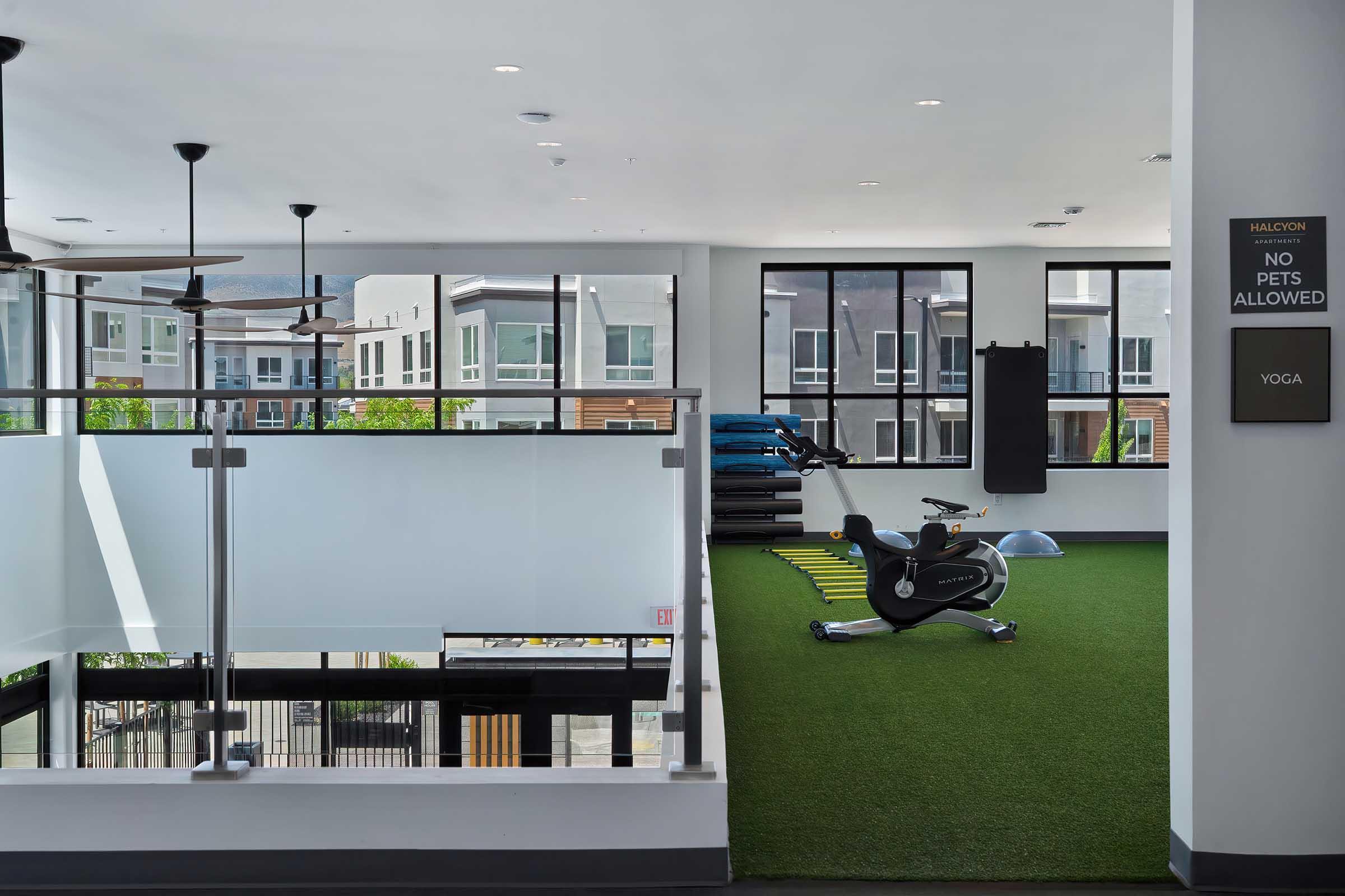 Indoor fitness area featuring exercise equipment, including a stationary bike and yoga mats. The space is designed with modern decor, large windows letting in natural light, and a sign indicating "No Pets Allowed" near the entrance. The flooring includes artificial grass, creating a welcoming atmosphere for exercise.