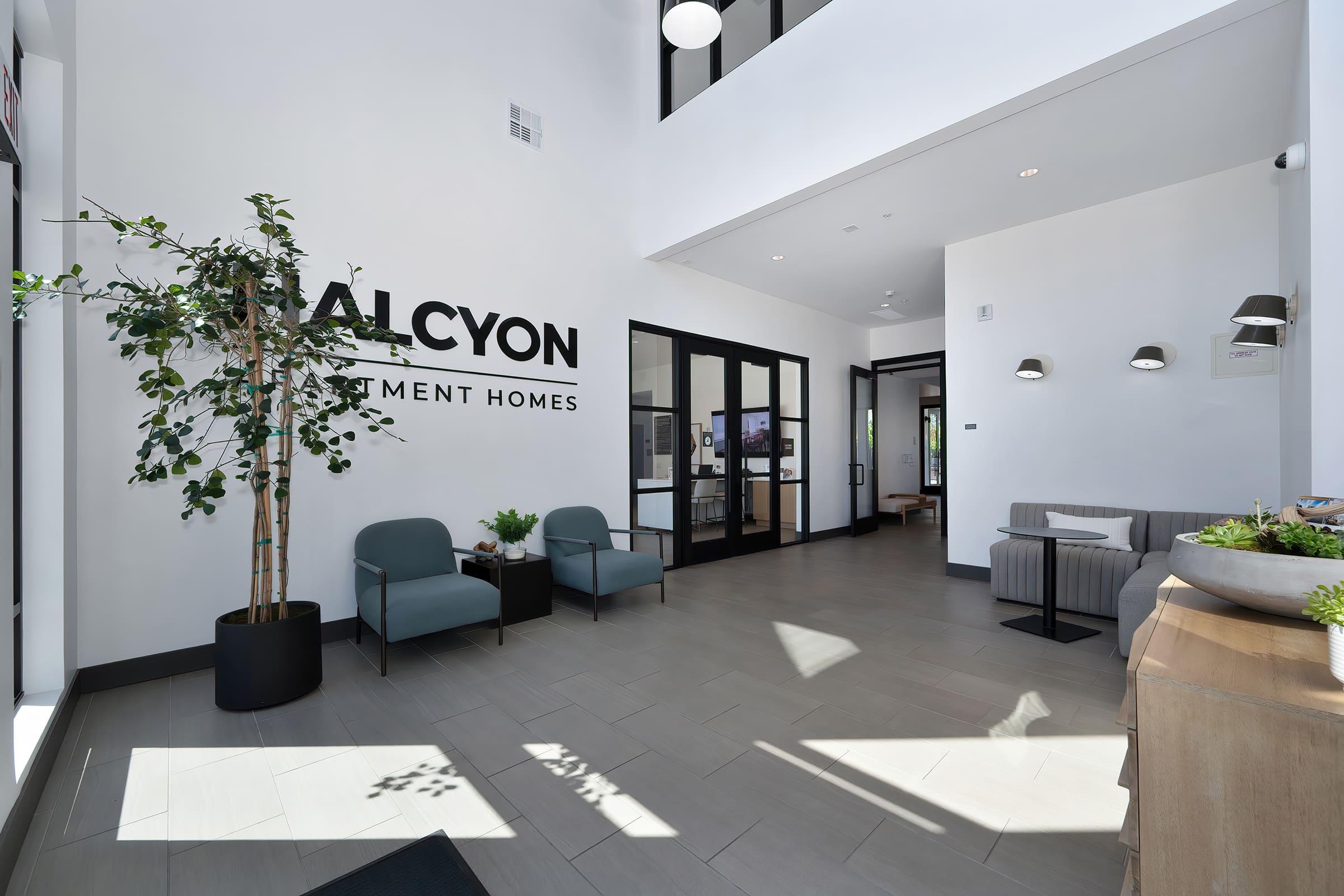 A modern reception area with sleek design featuring a tall indoor plant, two blue chairs, and a wooden table with greenery. The walls are white, adorned with the text "HALCYON" and "INVESTMENT HOMES." Large windows let in natural light, creating a bright and inviting atmosphere.