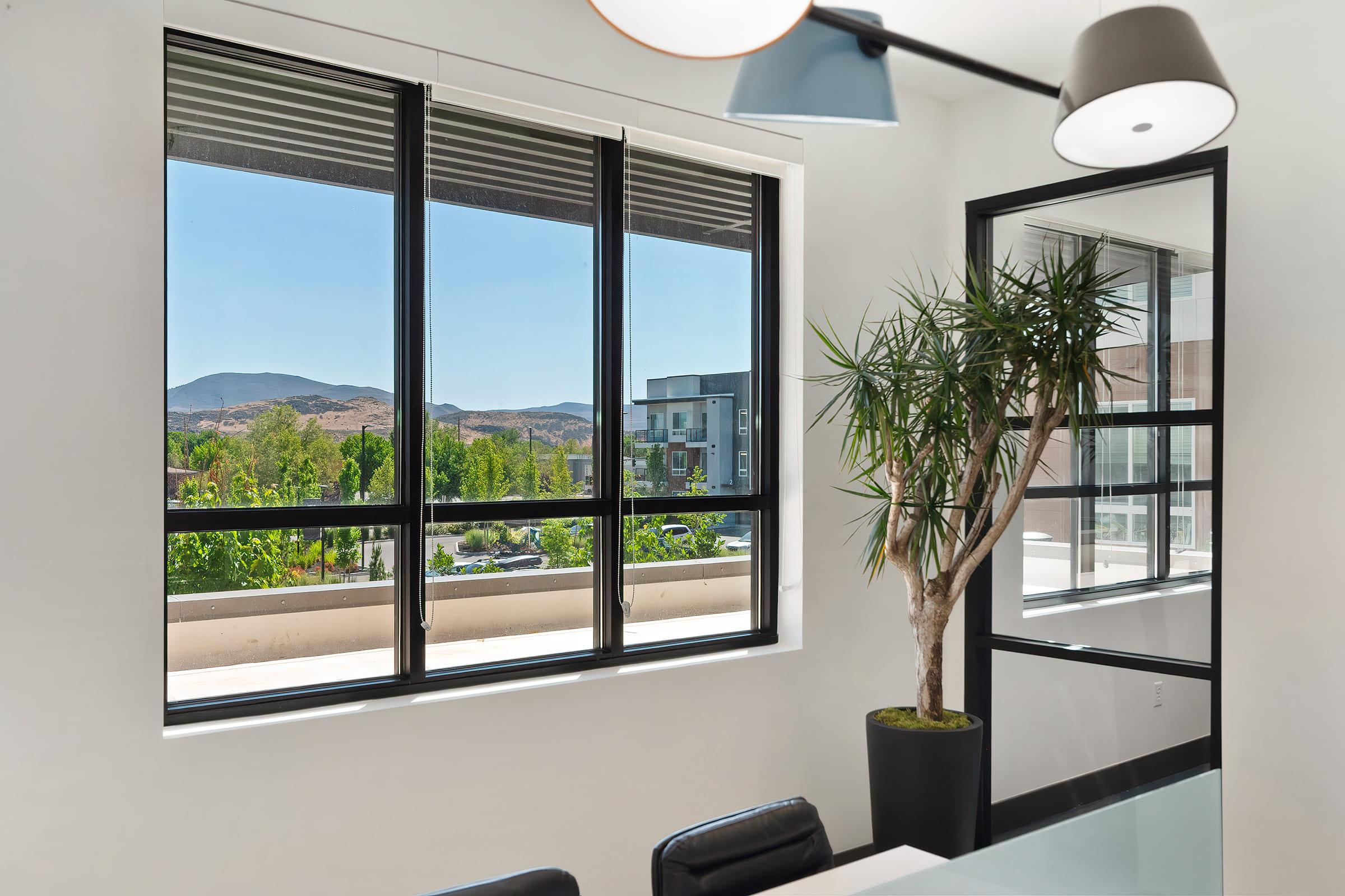 A modern room featuring large black-framed windows that offer a view of green trees and distant mountains. A tall potted plant is positioned near the window, and sleek furniture is visible in the foreground, creating a bright and contemporary atmosphere with natural light flooding in.