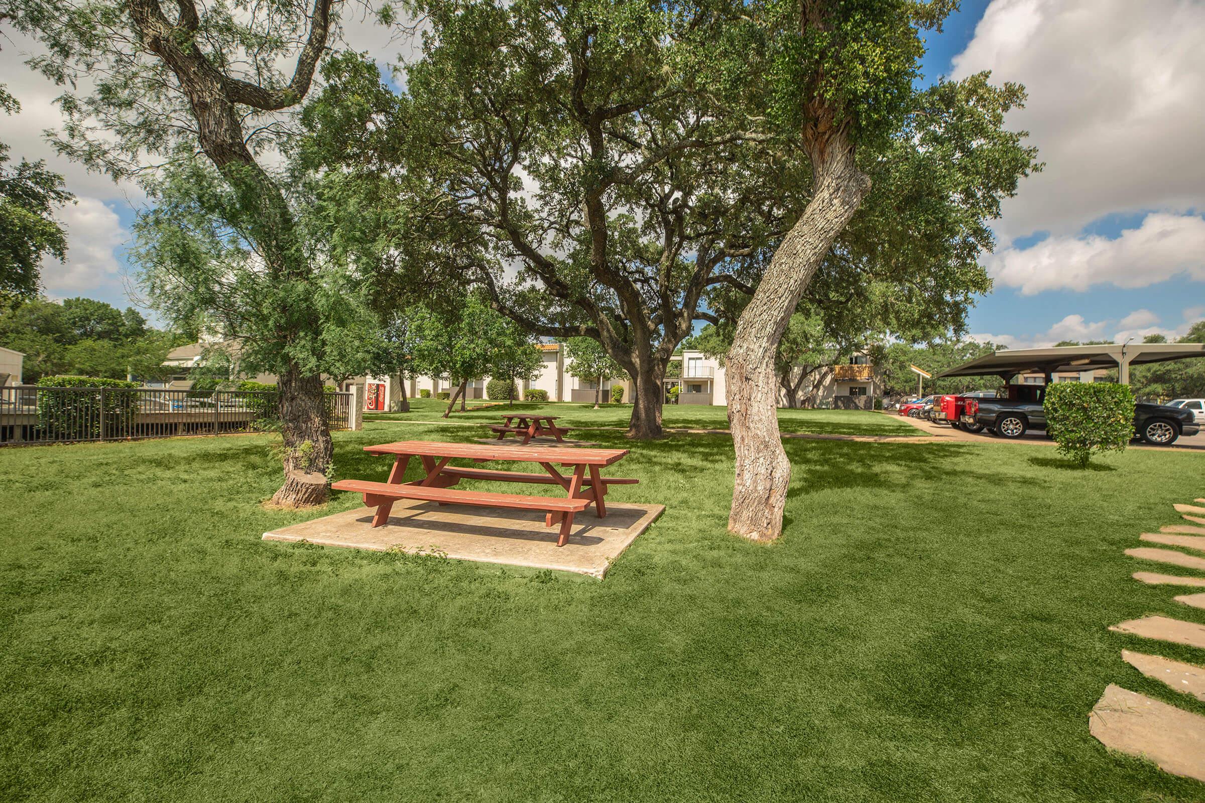 a large lawn in front of a tree