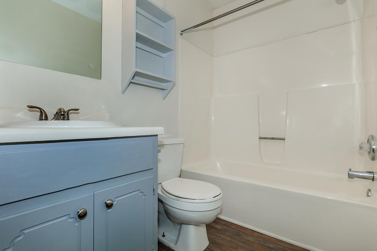 CHIC BATHROOM AT UNIVERSITY VILLAGE AT WALKER ROAD IN JACKSON, TENNESSEE