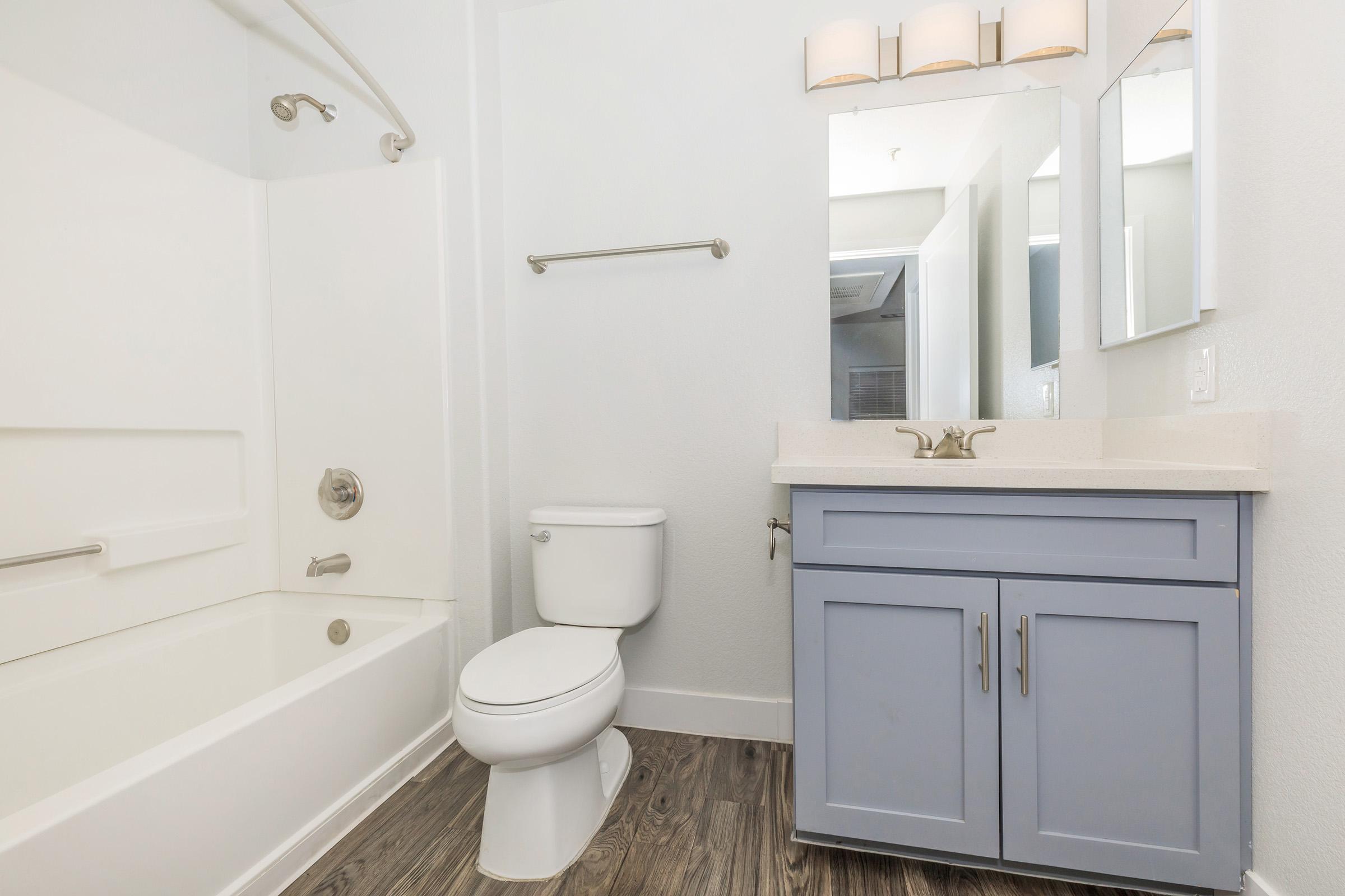 a shower that has a sink and a mirror