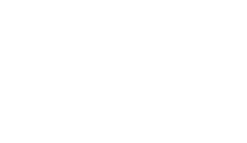 Stone Ridge Apartments ebrochure logo