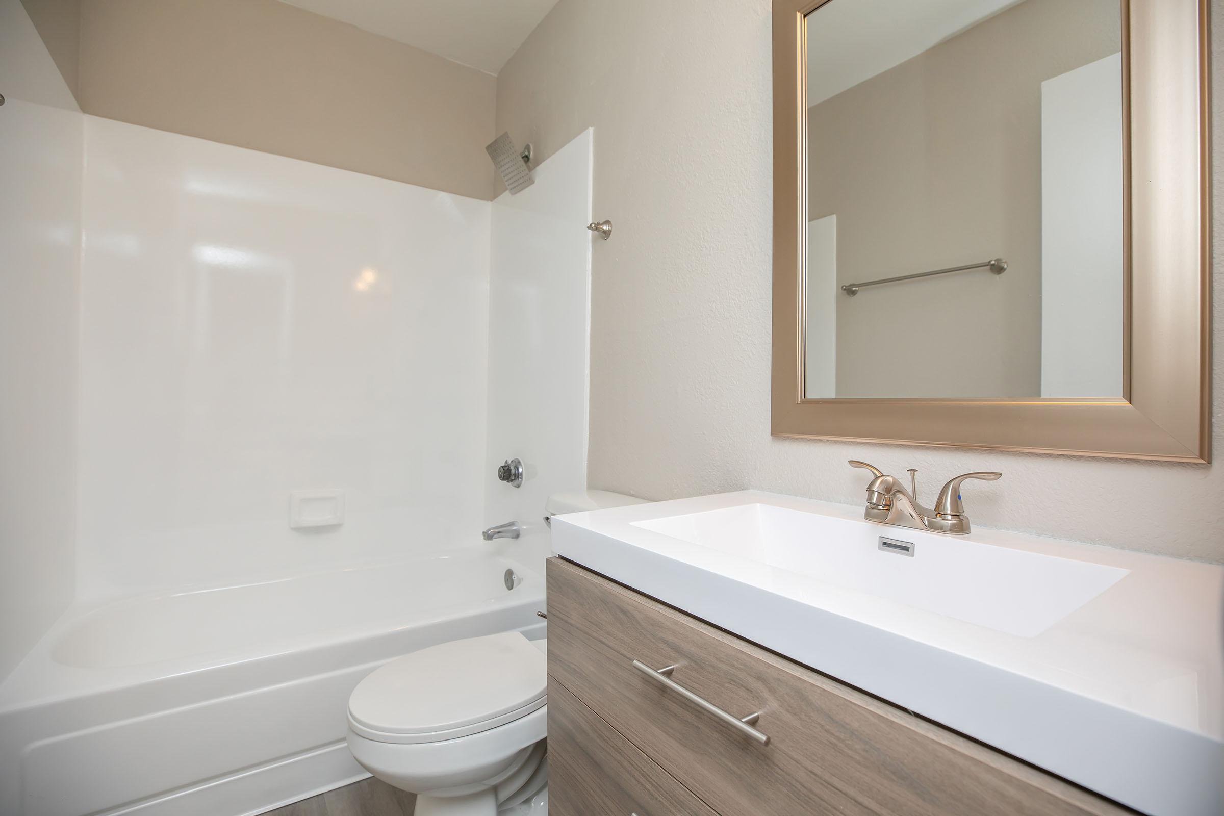 a shower that has a sink and a mirror