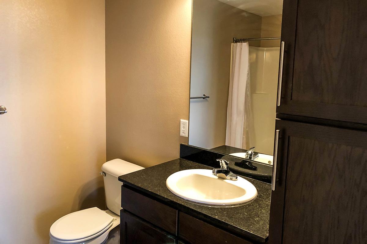 a white sink sitting under a mirror