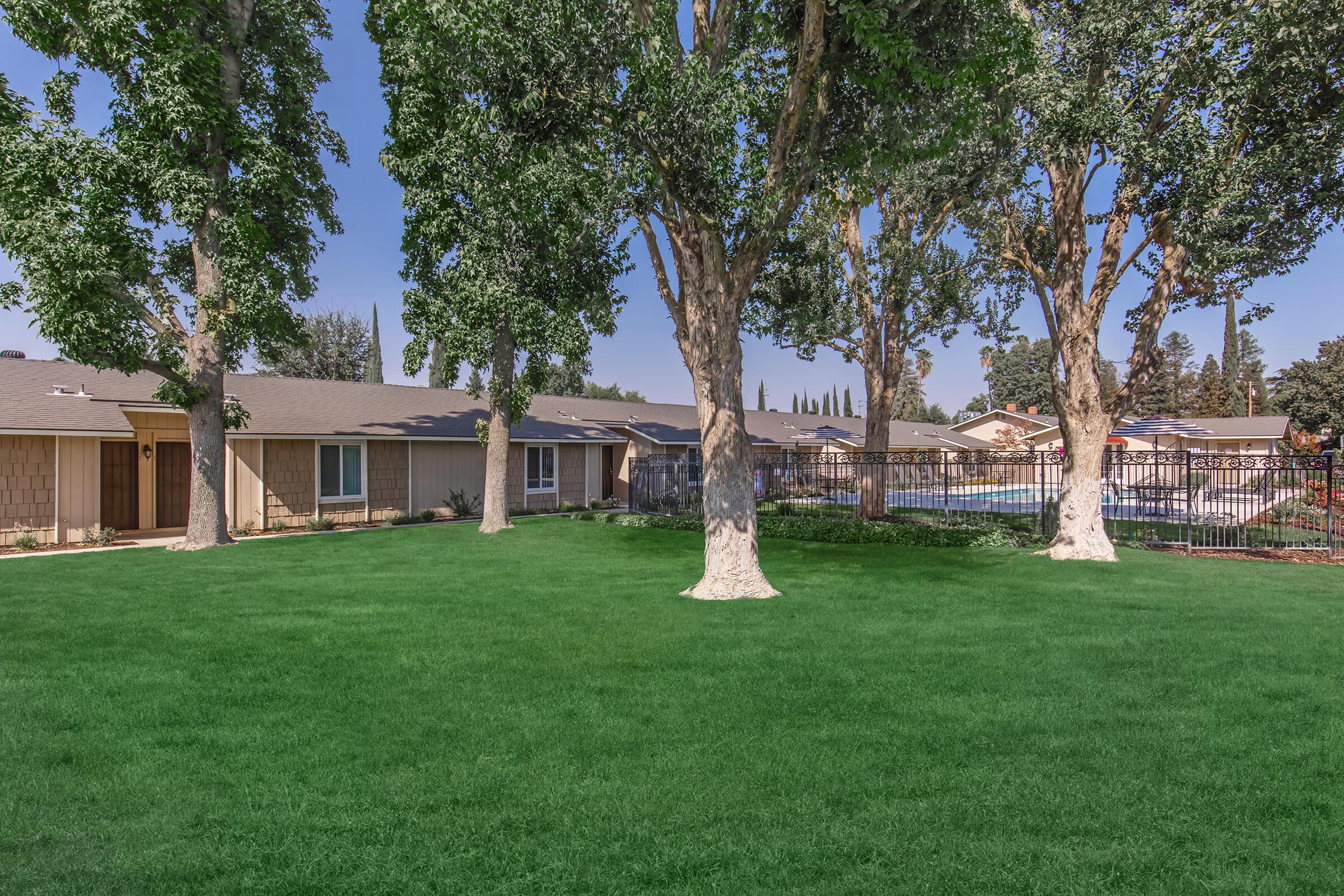 A spacious backyard featuring lush green grass and tall trees, with a view of a house on the left and a fenced area with a pool in the background. The sky is clear and blue, creating a bright and inviting atmosphere.