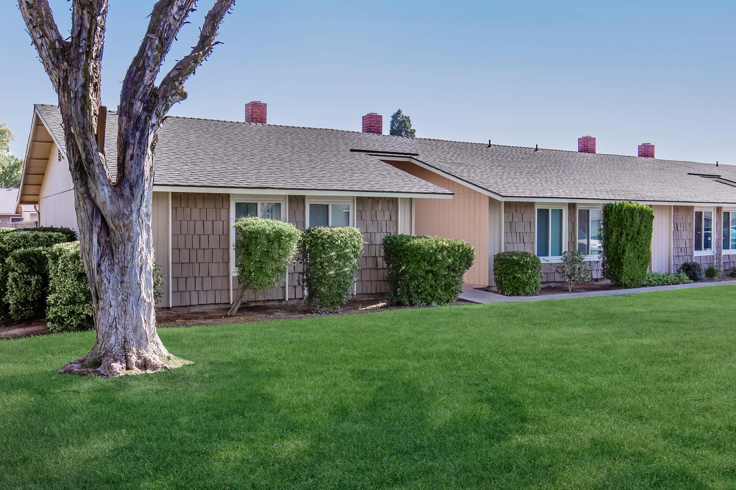 A row of single-story houses with a well-manicured lawn. Each house features a combination of siding styles and has neatly trimmed bushes in front. A large tree stands beside the houses, contributing to the pleasant, inviting atmosphere of the neighborhood. Clear blue sky in the background.