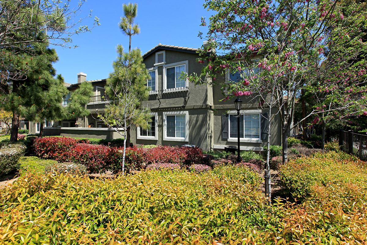 a close up of a flower garden in front of a house