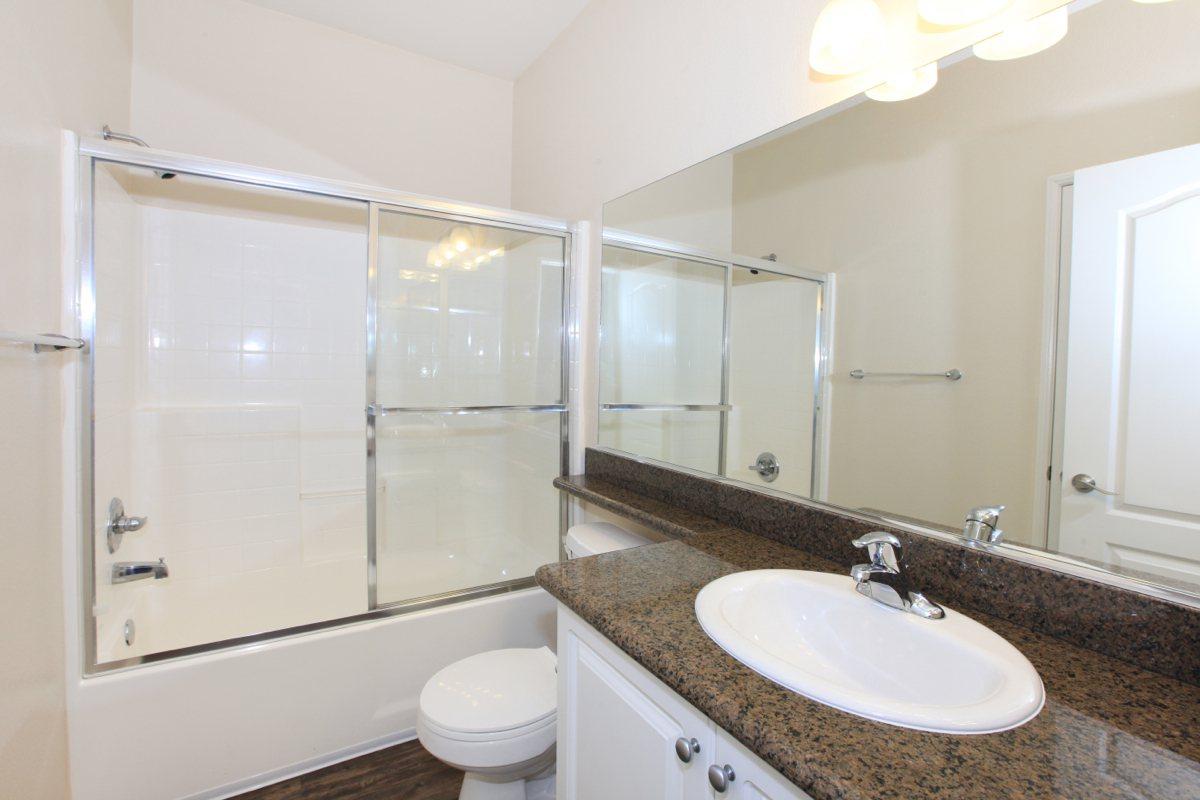 a shower that has a sink and a mirror