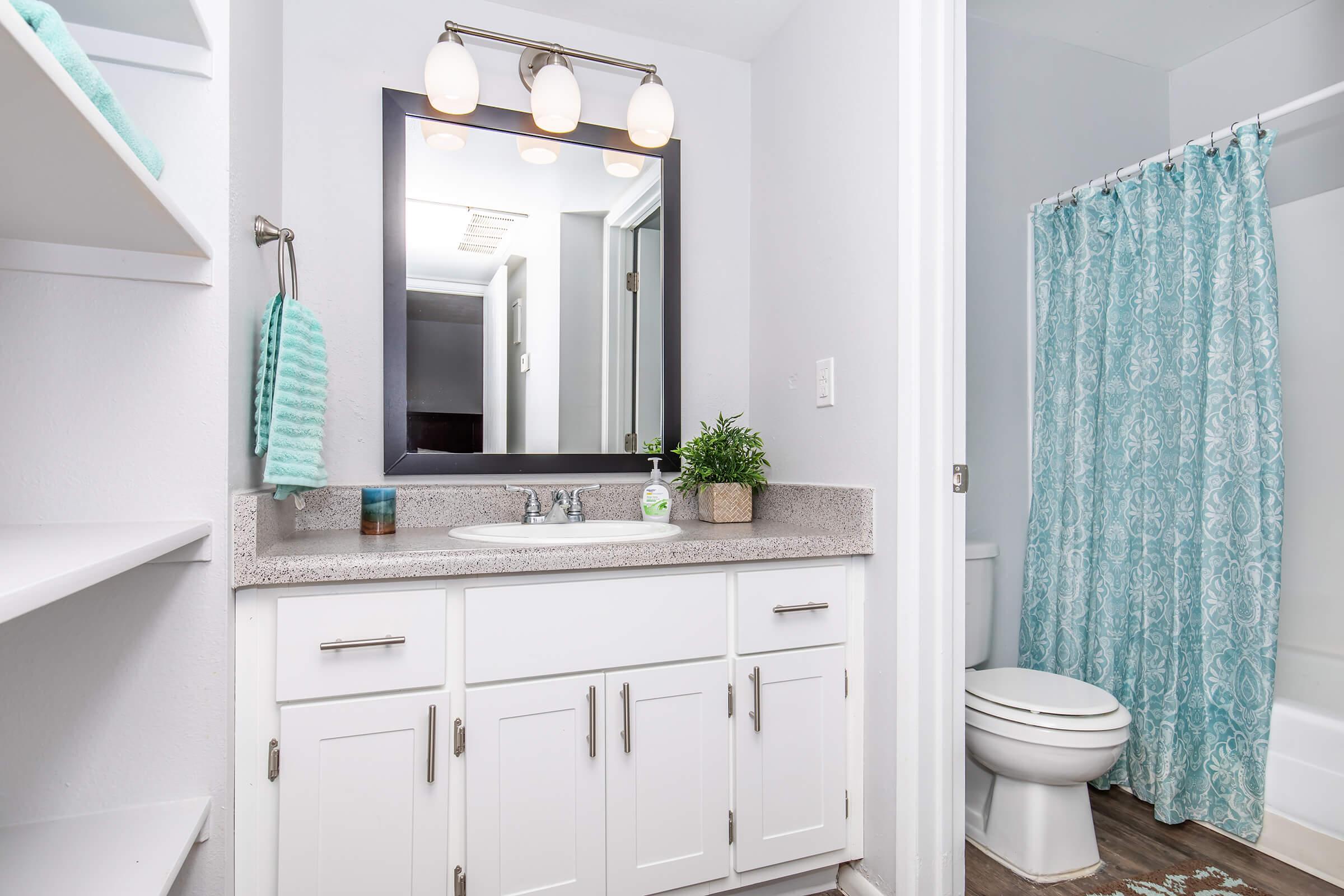 a kitchen with a sink and a shower curtain