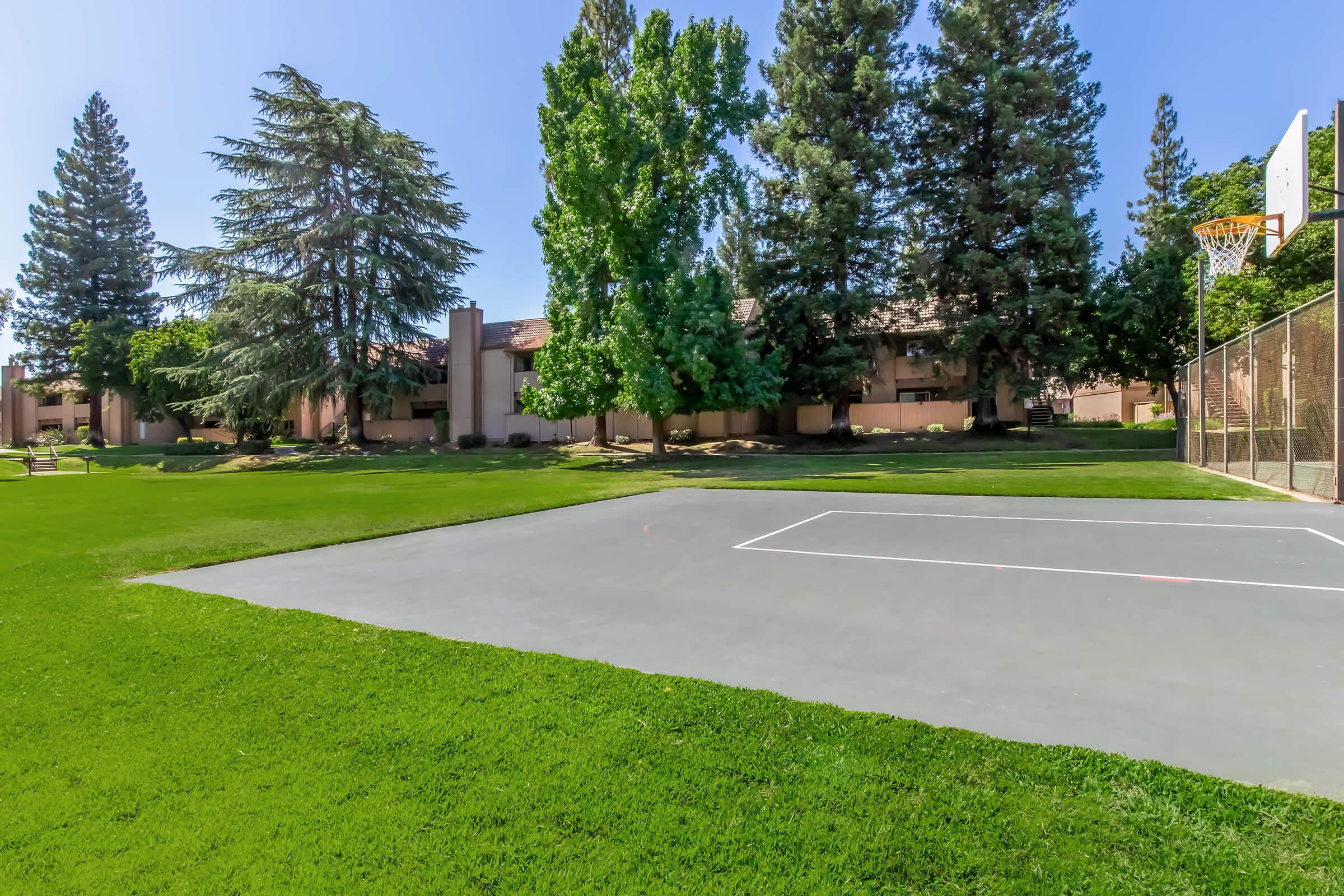 A sunny outdoor scene featuring a basketball court bordered by lush green grass and tall trees. In the background, there are buildings partially visible, creating a serene and inviting atmosphere for recreational activities.
