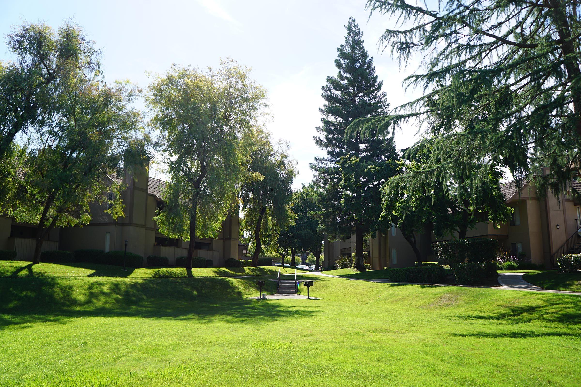 a group of lawn chairs sitting on top of a lush green field