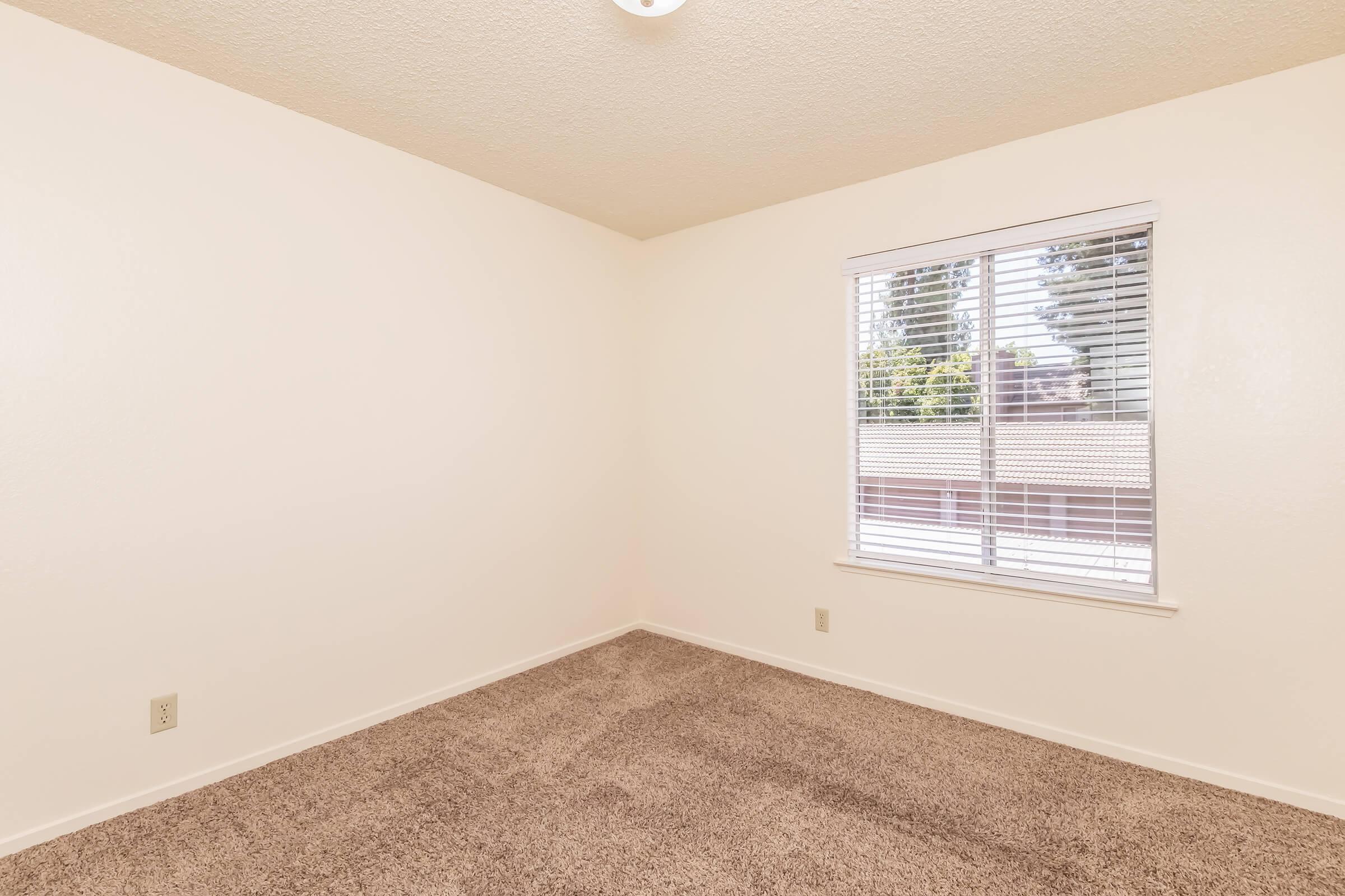 Empty room with light beige walls and light brown carpet. There's a single window with white blinds that lets in natural light, and a ceiling light fixture. The room has a simple, clean look, suitable for various uses such as a bedroom or office space.