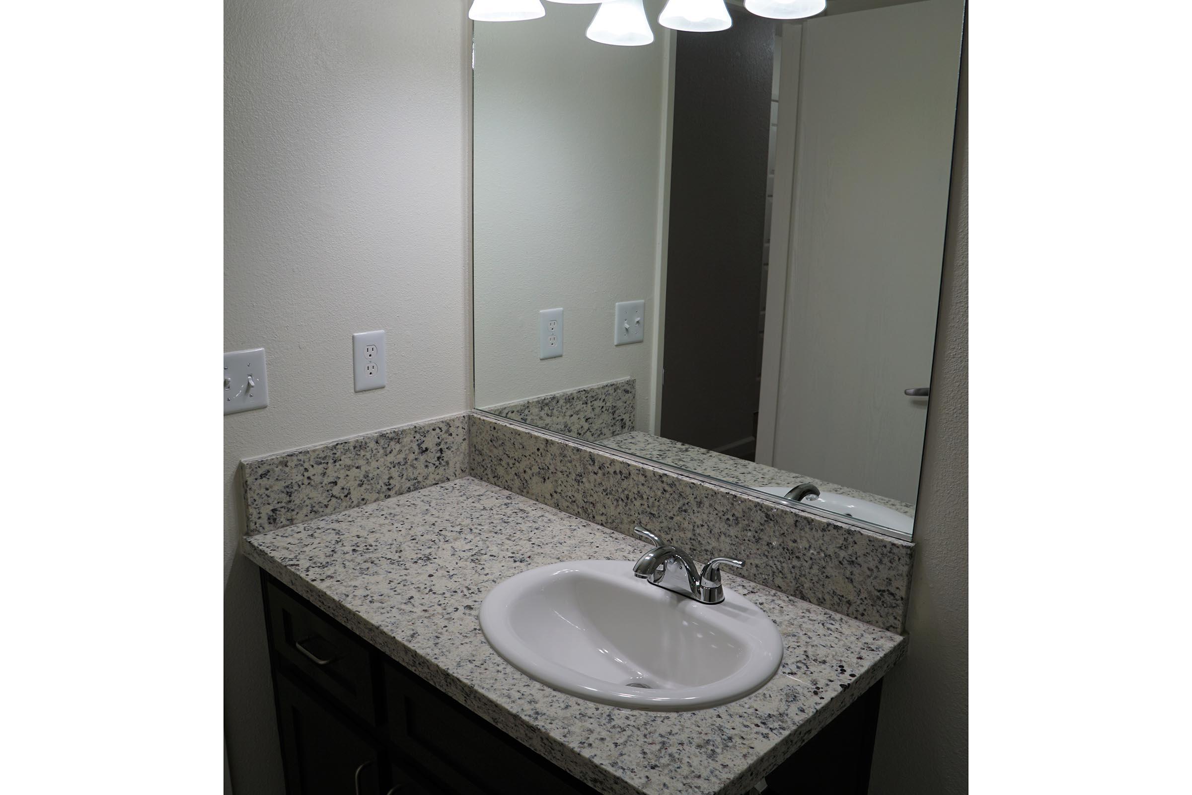 a double sink and large mirror