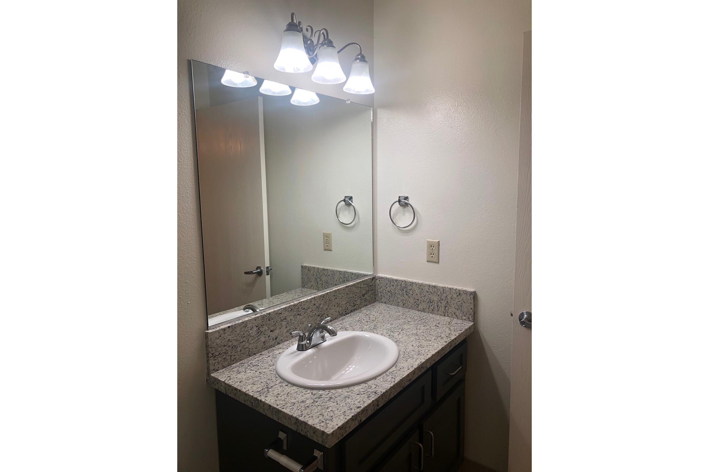 a double sink and large mirror