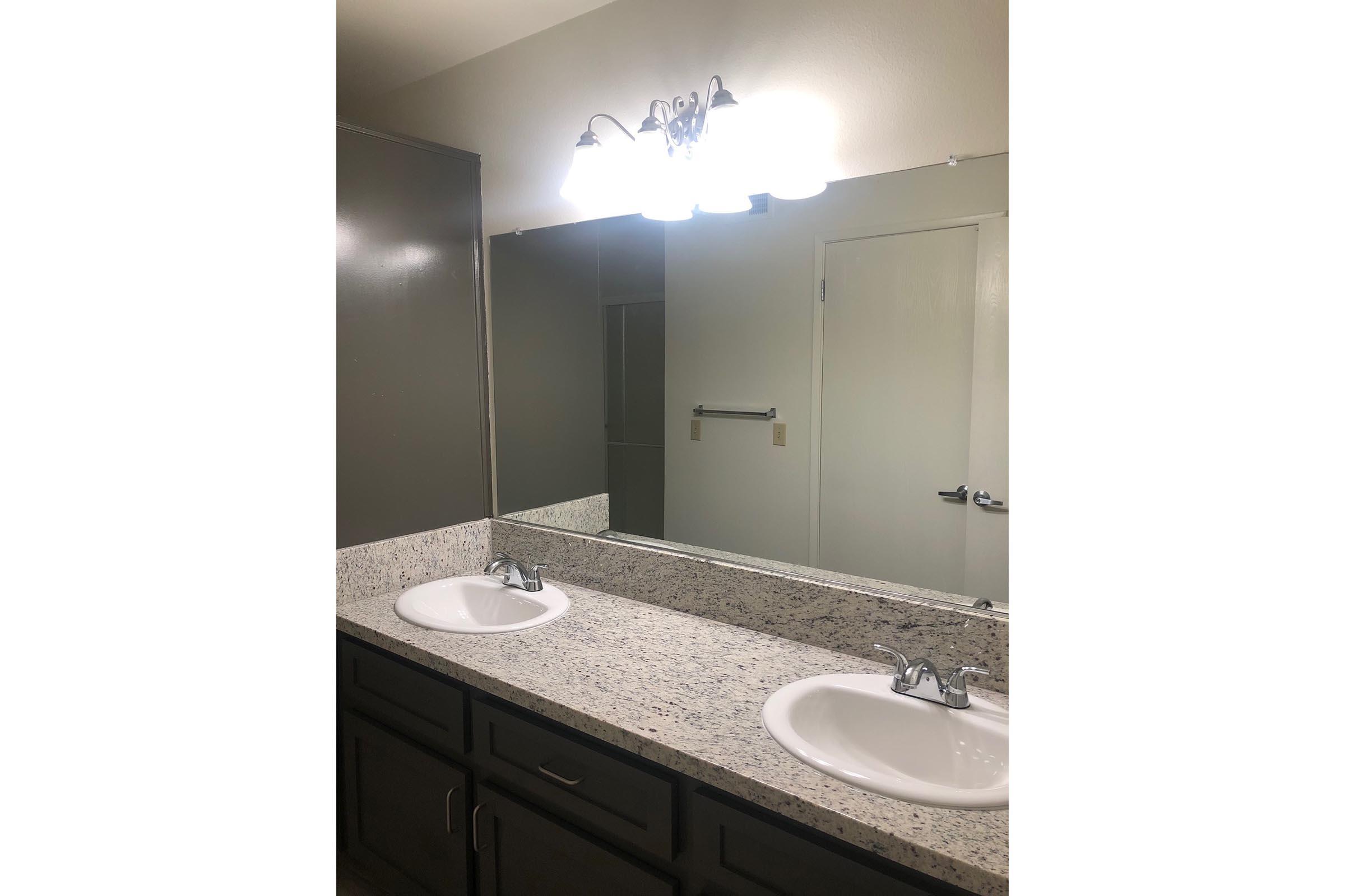 a double sink and large mirror