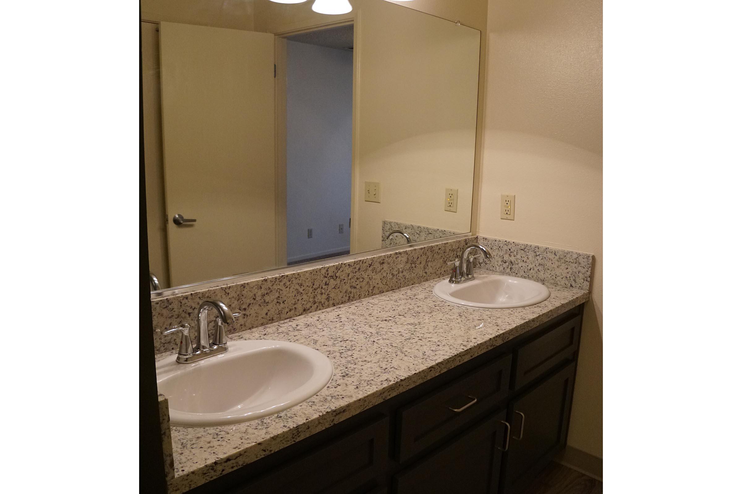 a double sink and large mirror