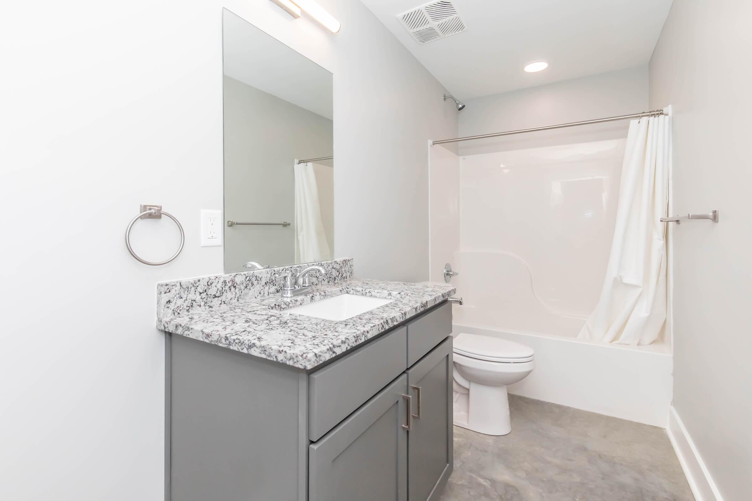 Modern bathroom featuring a gray vanity with a granite countertop and a sink, a large mirror above the vanity, a white bathtub with a shower curtain, and a toilet. The walls are painted a light gray, and the flooring is a smooth, neutral tone. Brightly lit with recessed lighting.